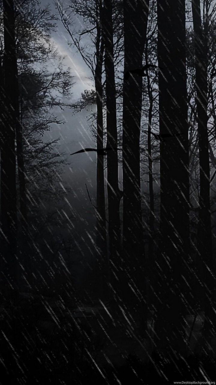 Dark Rain Phone Wallpapers