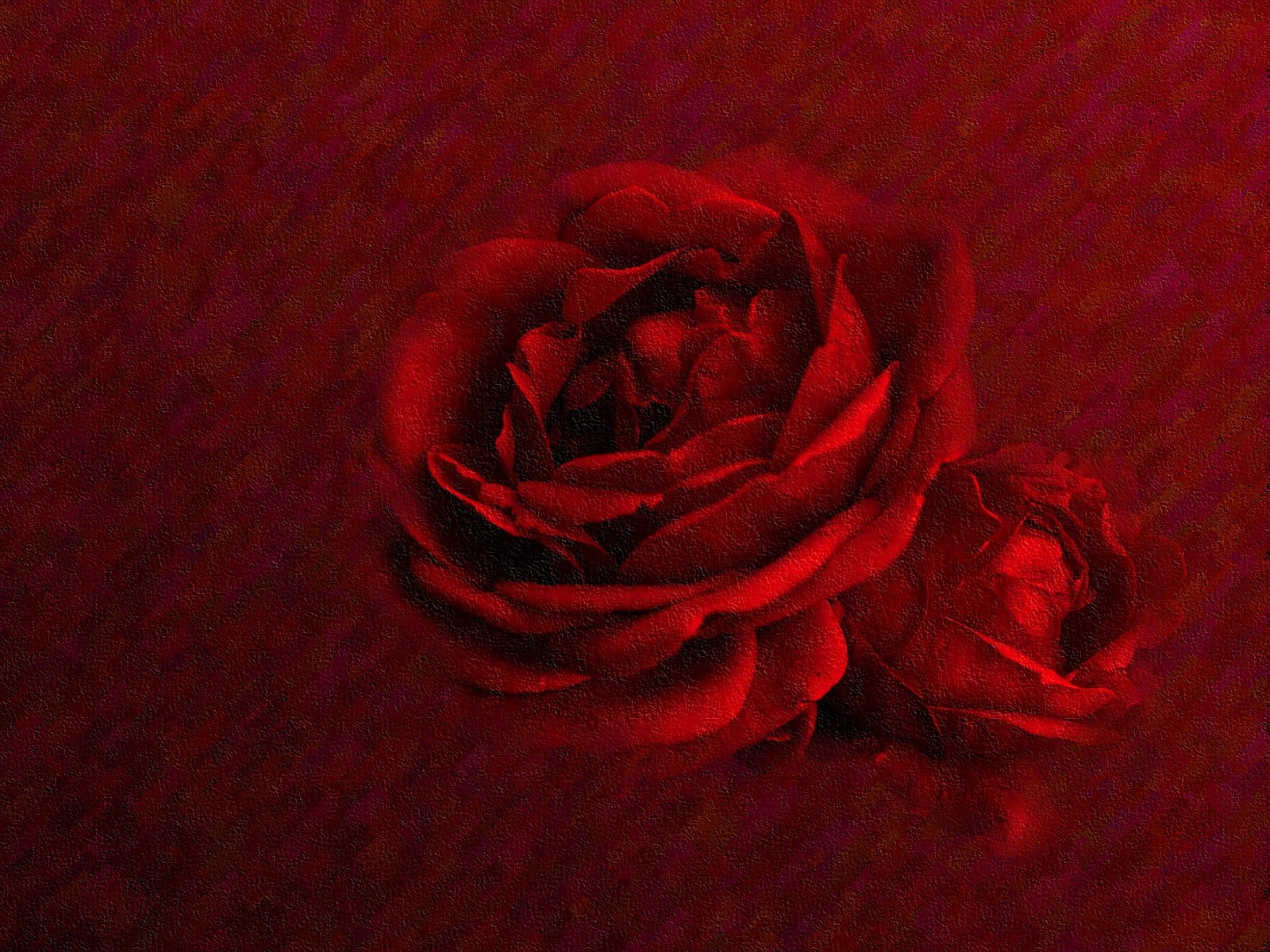 Dark Red Flower Wallpapers