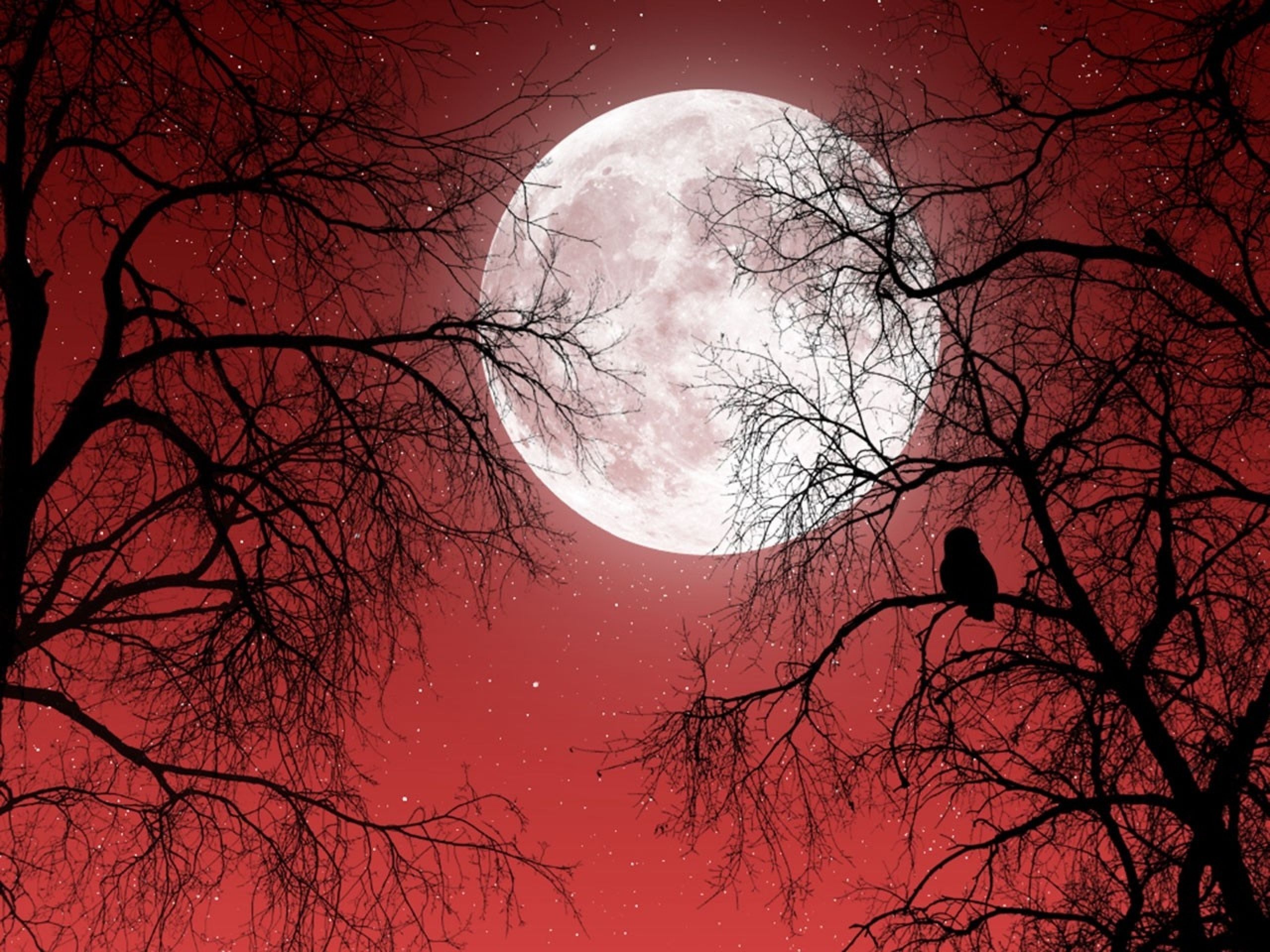 Dark Red Moon Wallpapers