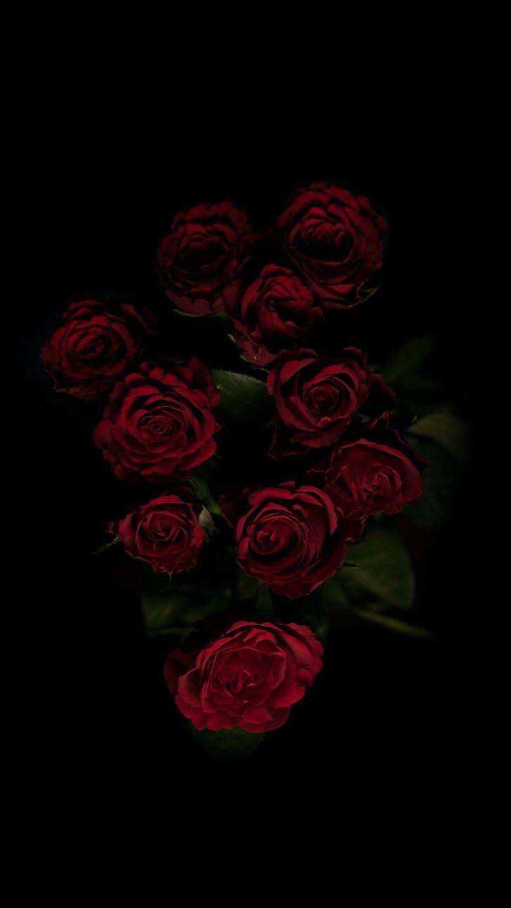 Dark Rose Wallpapers