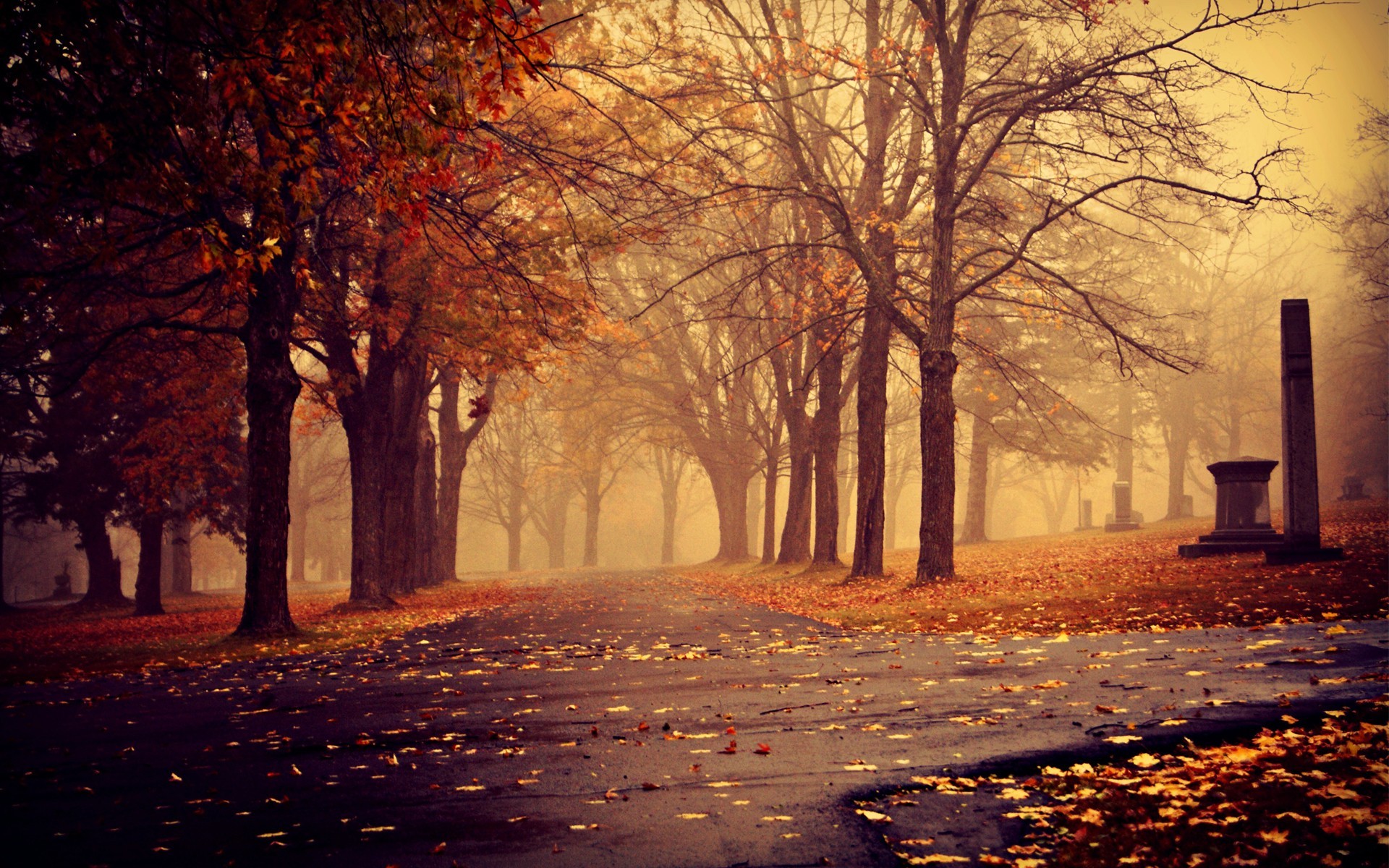 Dark Vintage Autumn Wallpapers