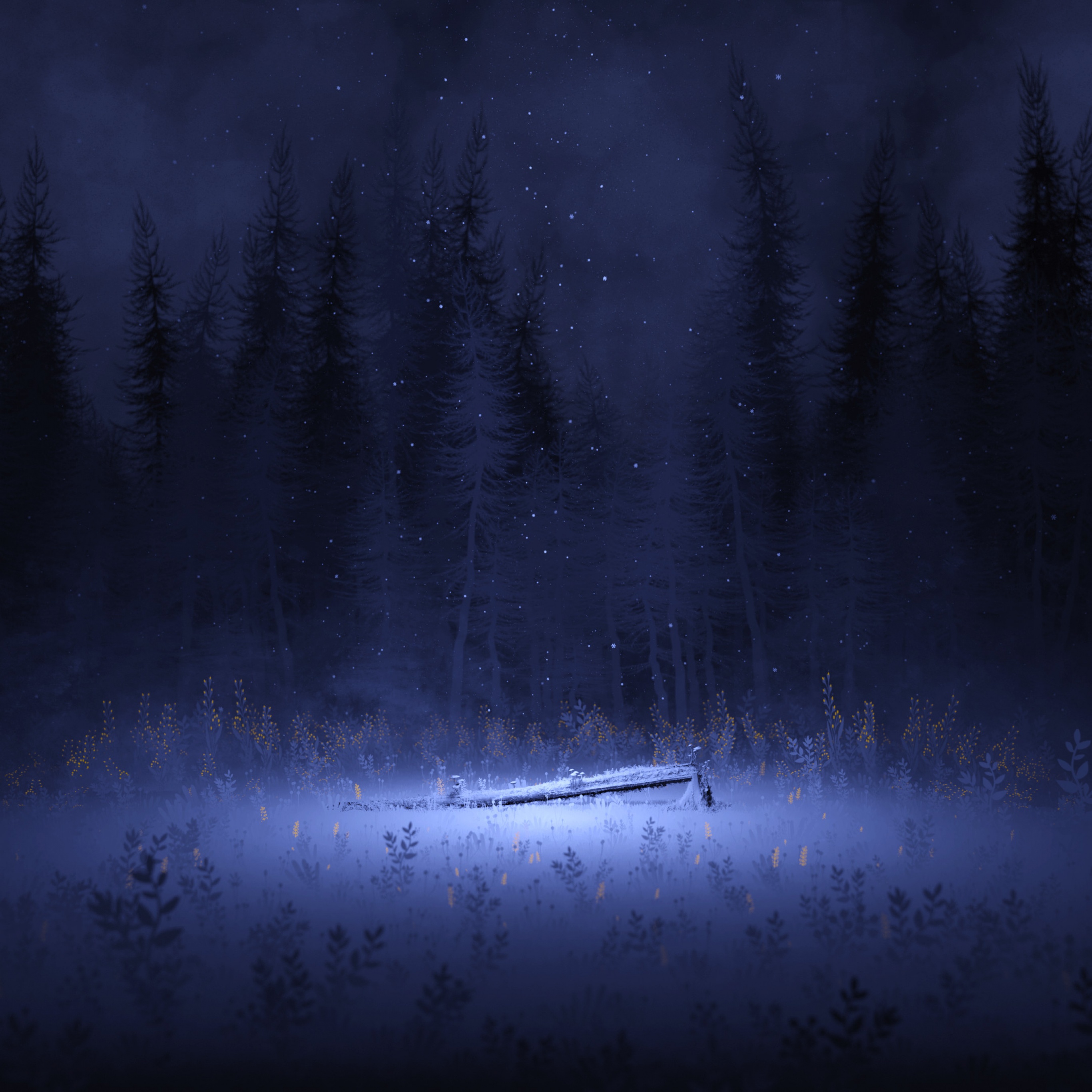 Dark Winter Forest Wallpapers