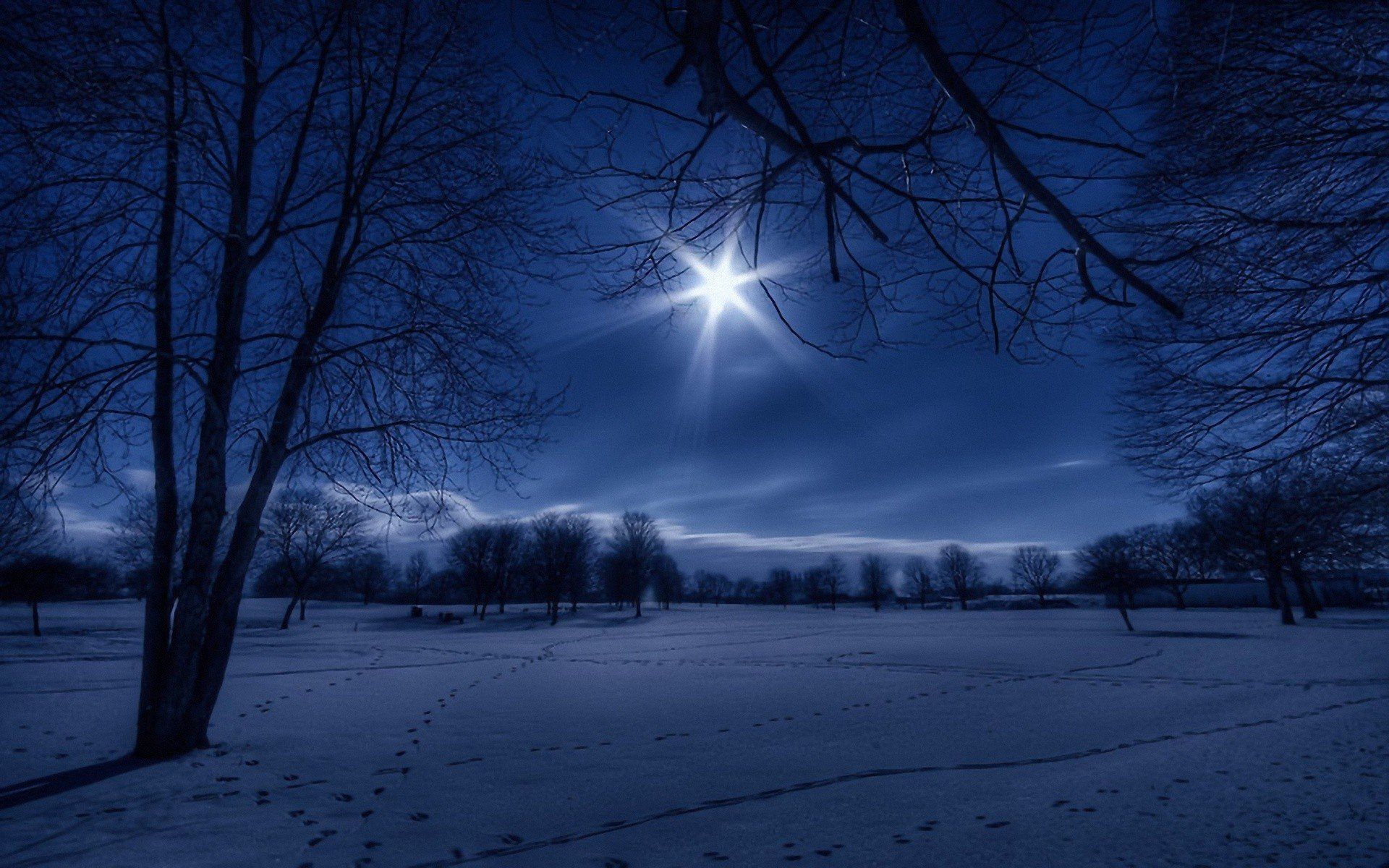 Dark Winter Night Wallpapers