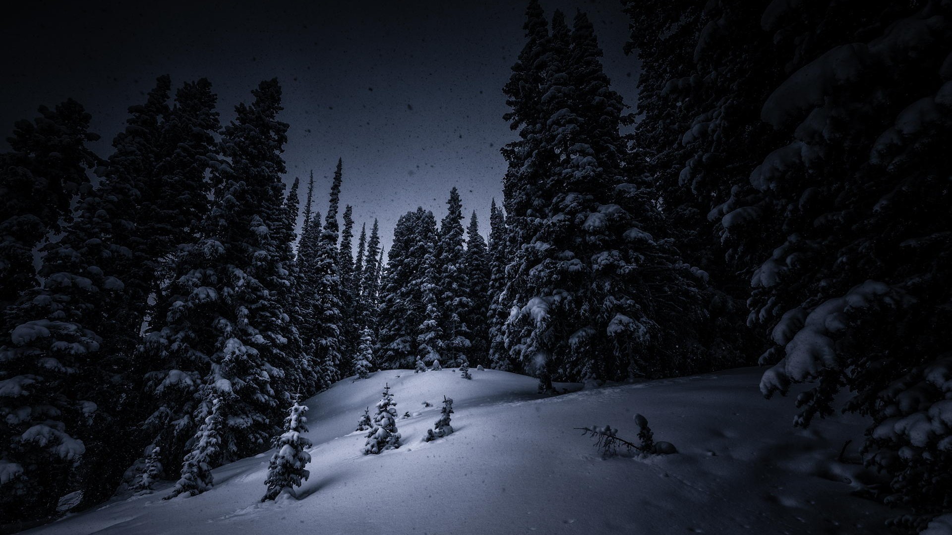 Dark Winter Night Wallpapers