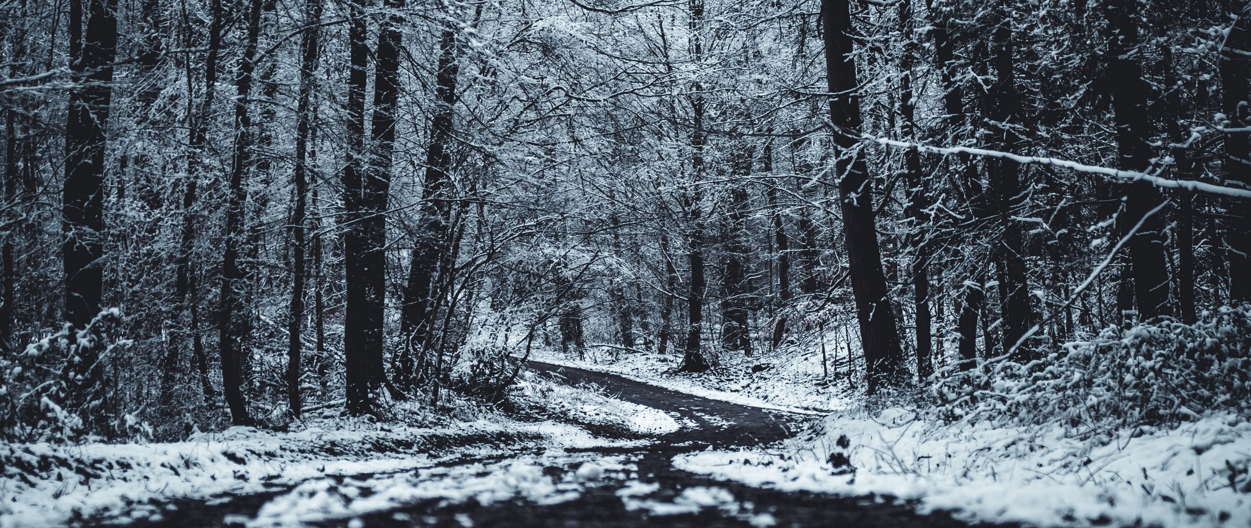 Dark Winter Wallpapers