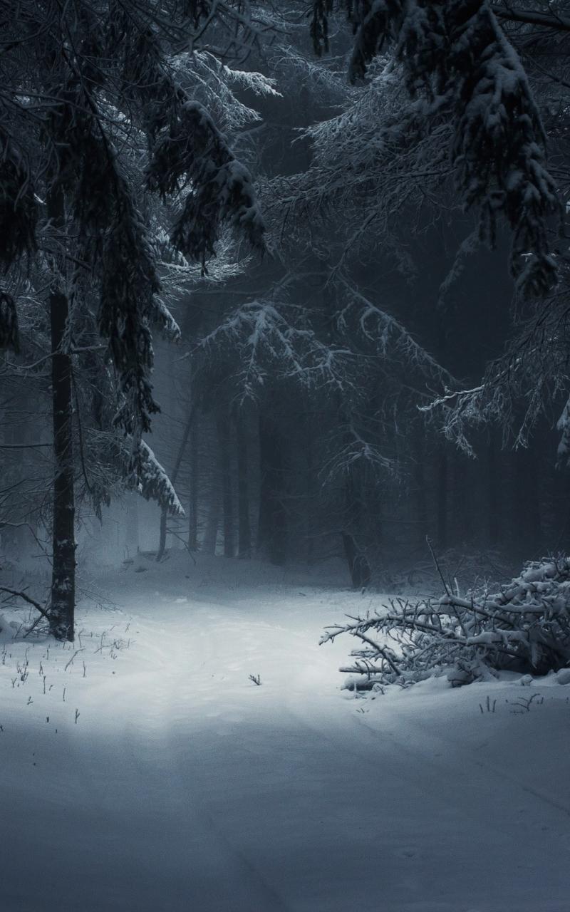 Dark With Snow Wallpapers
