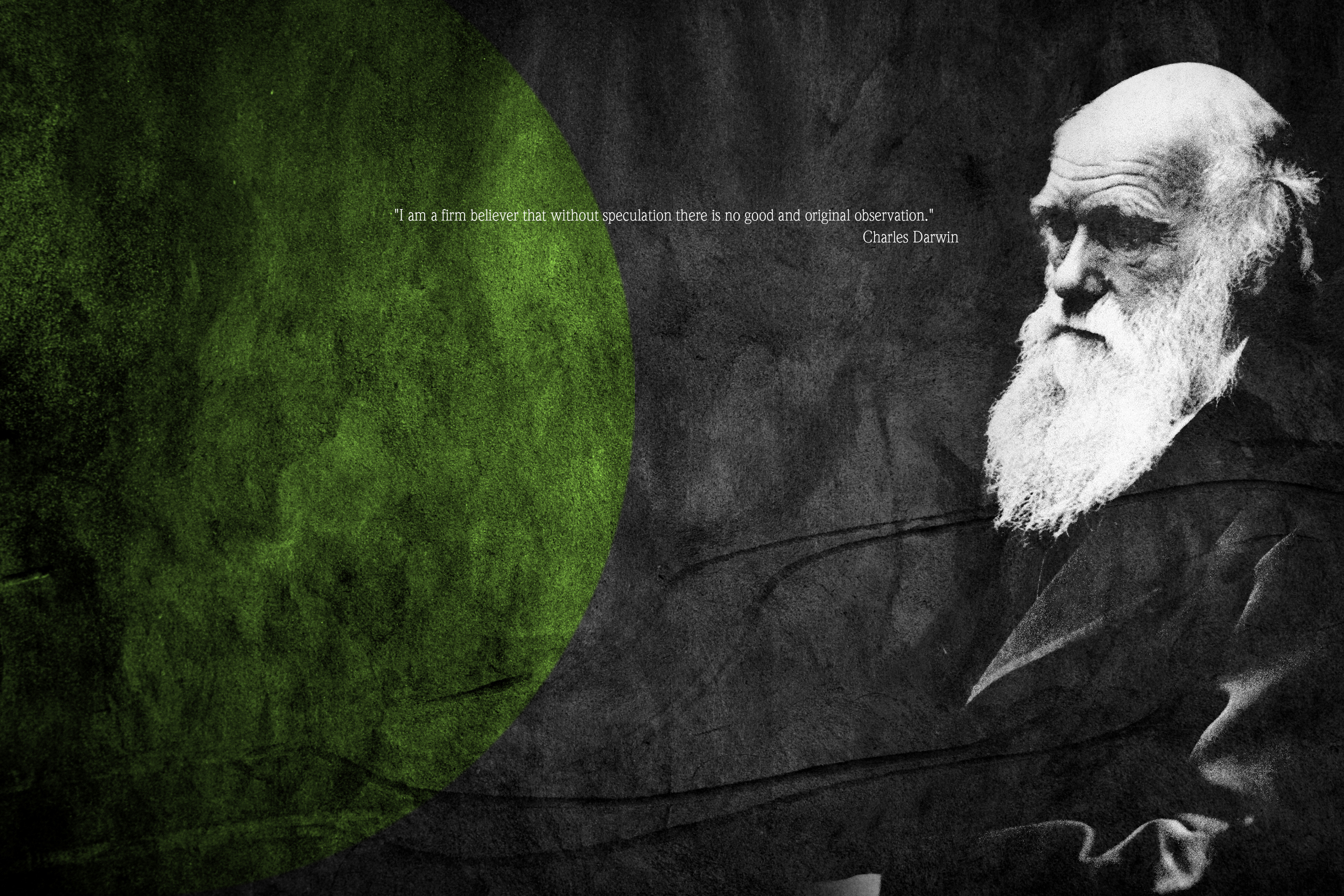 Darwin Wallpapers