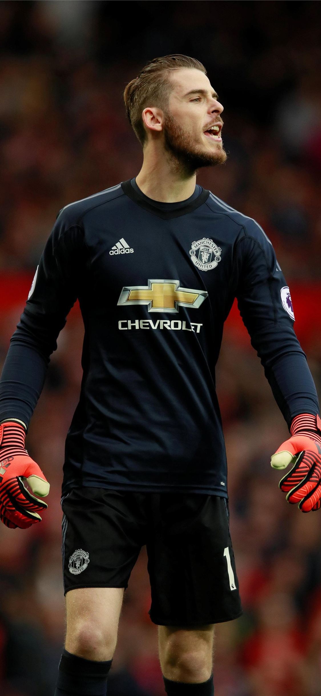 David De Gea Wallpapers