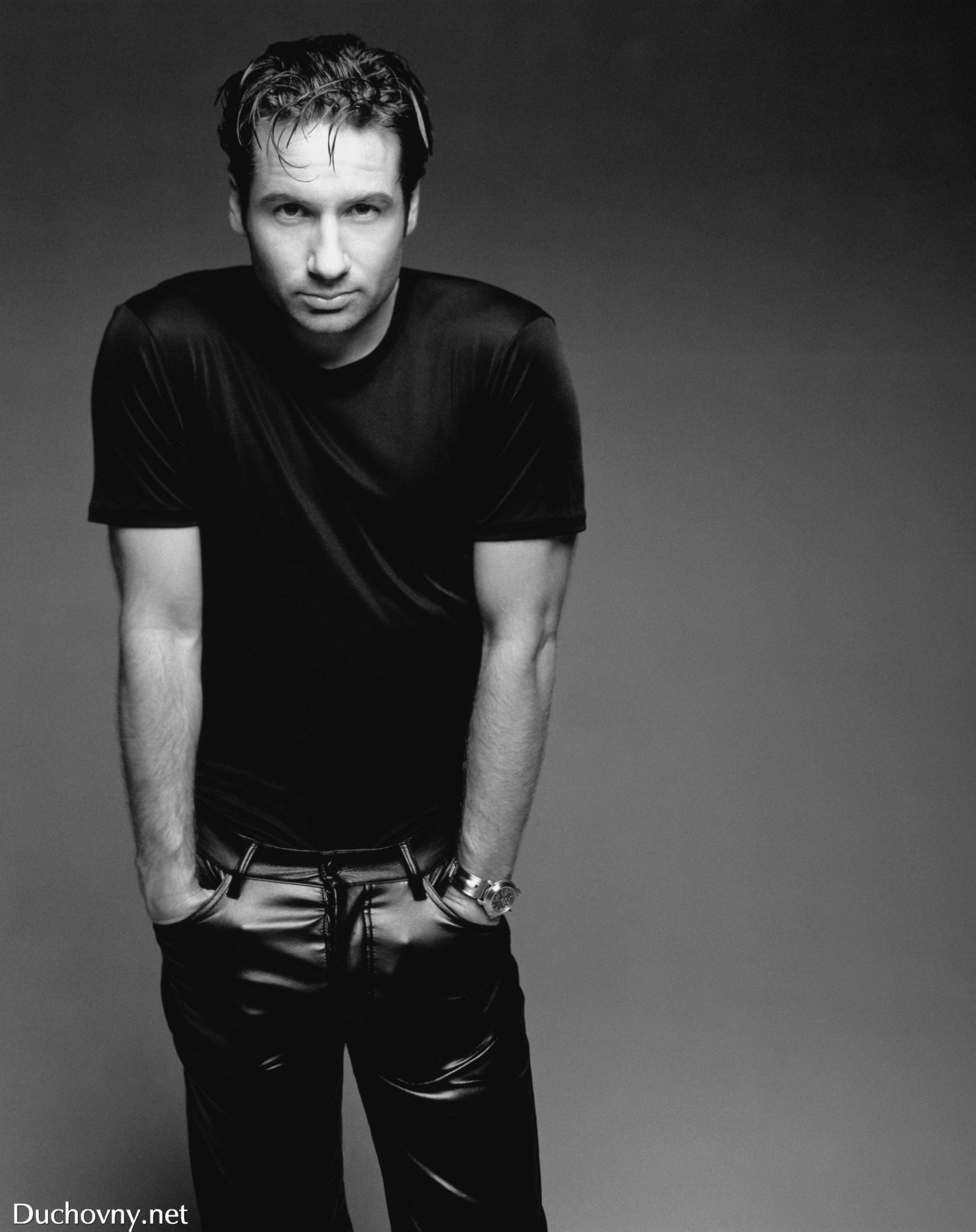 David Duchovny Wallpapers