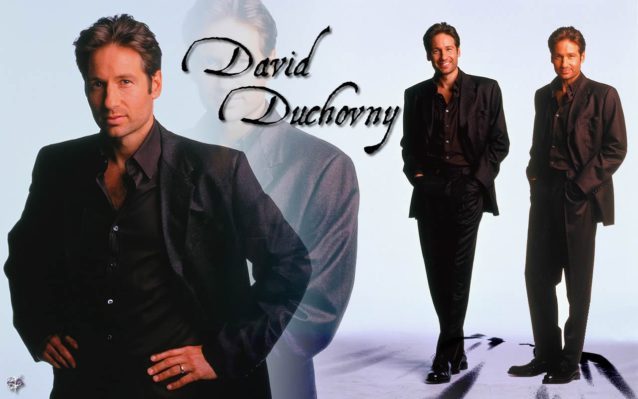 David Duchovny Wallpapers