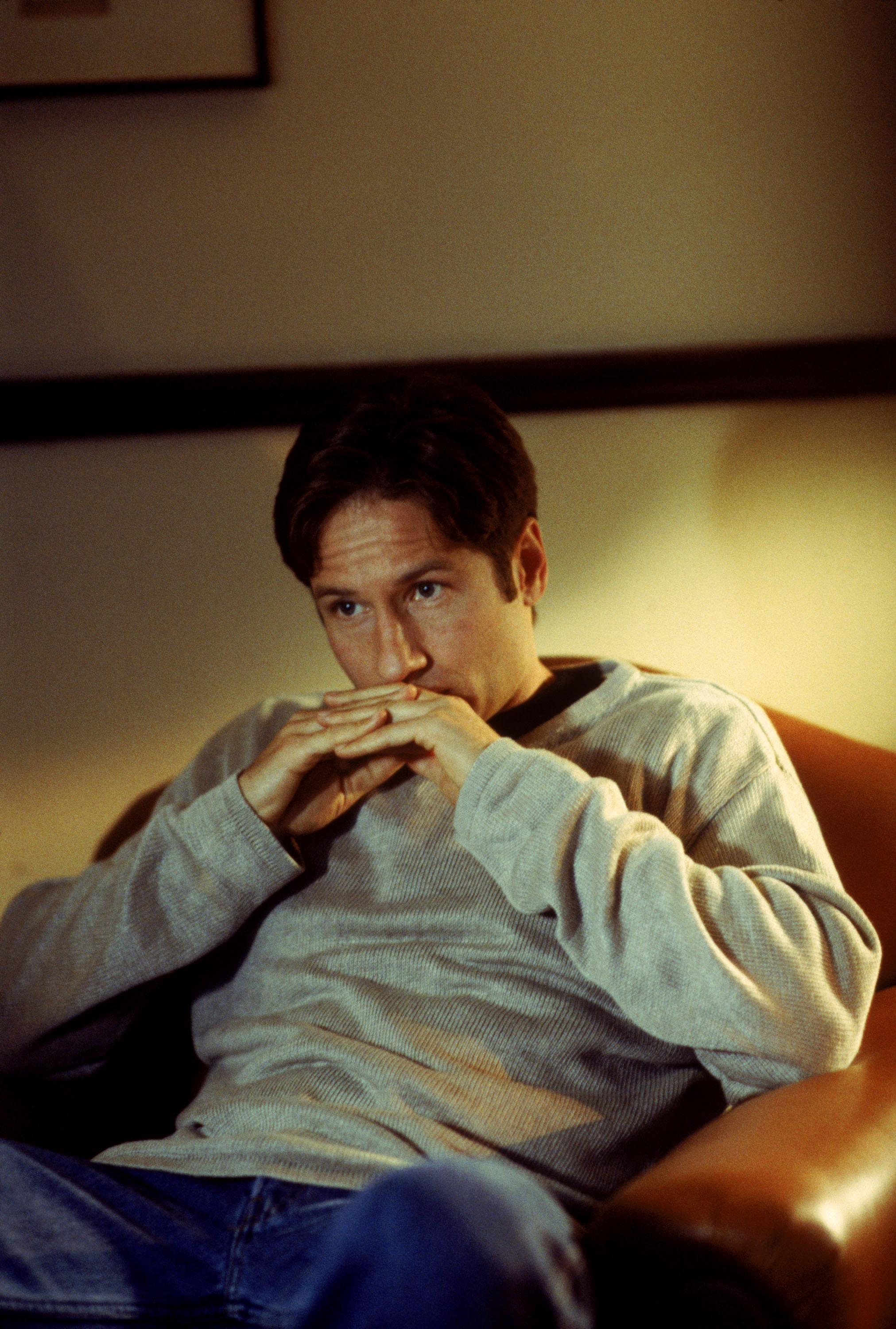 David Duchovny Wallpapers