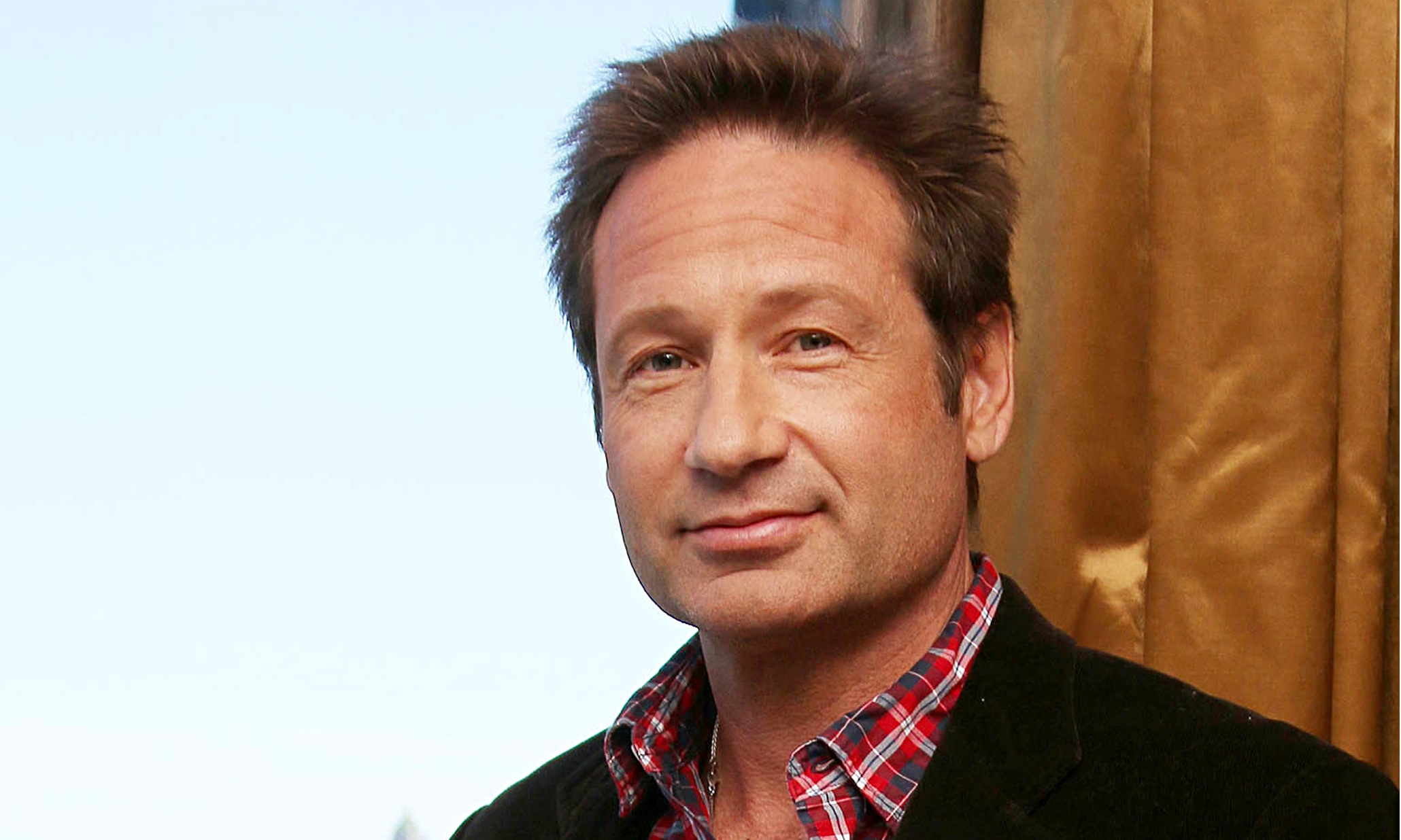 David Duchovny Wallpapers