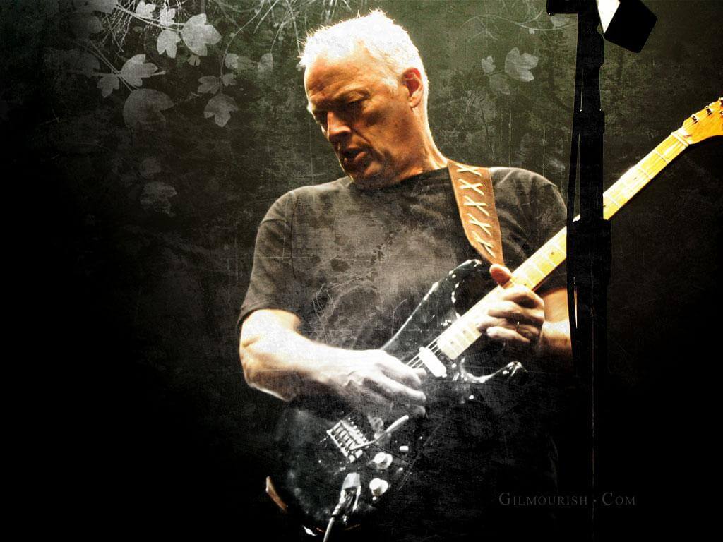 David Gilmour Wallpapers