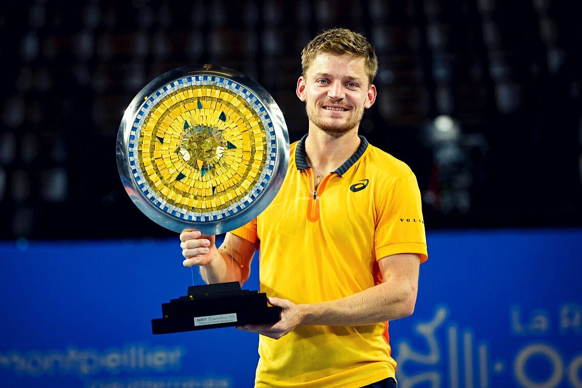 David Goffin Wallpapers