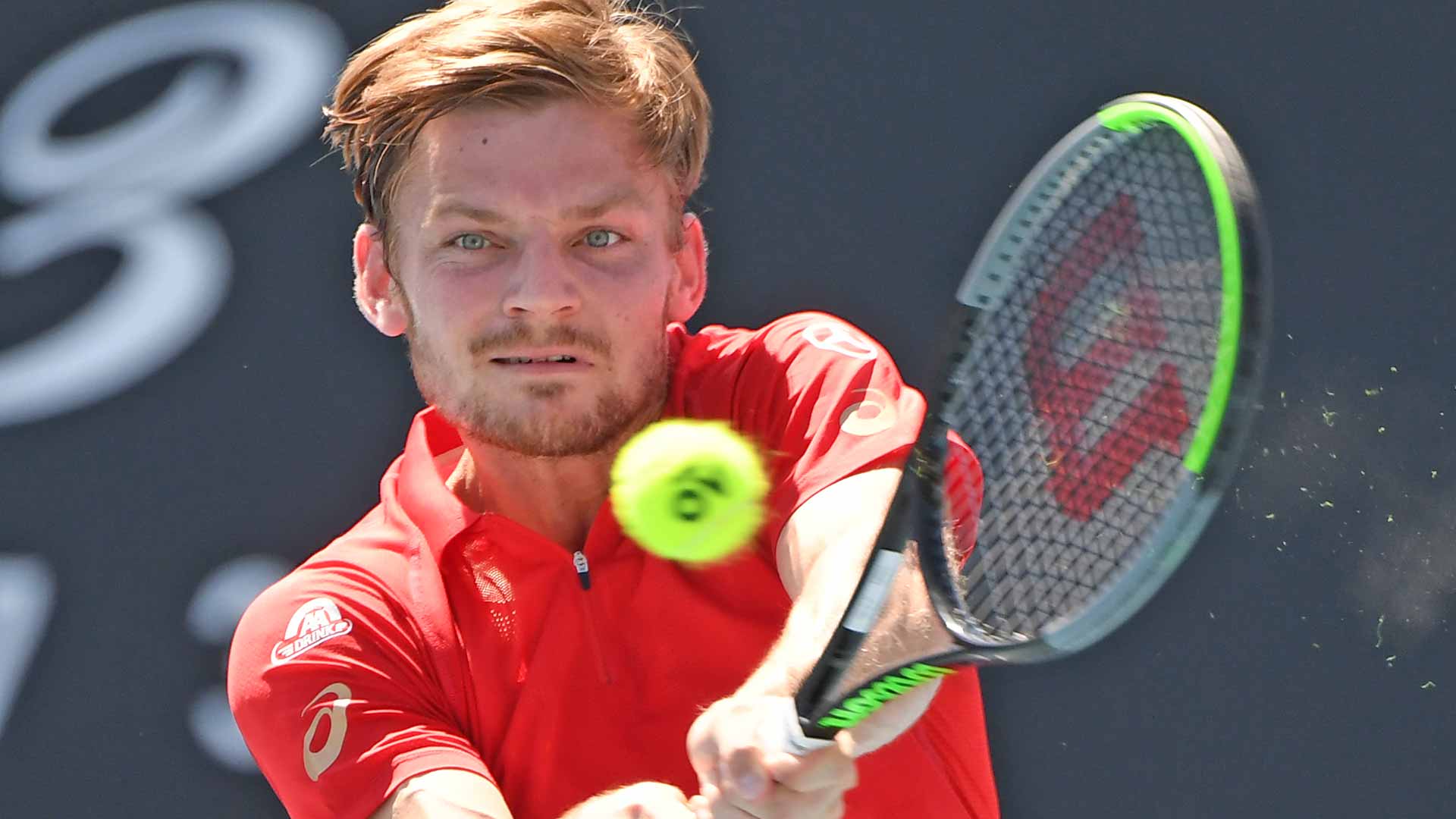 David Goffin Wallpapers