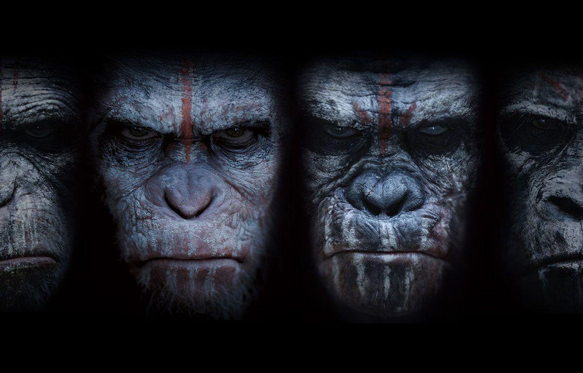 Dawn Of The Planet Of The Apes Wallpapers