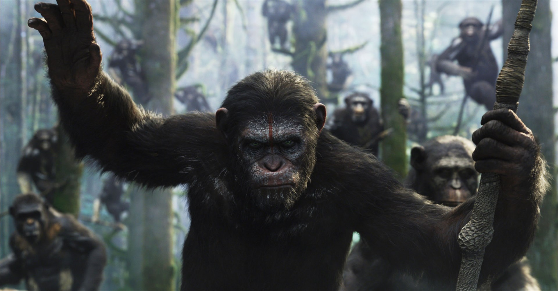 Dawn Of The Planet Of The Apes Wallpapers