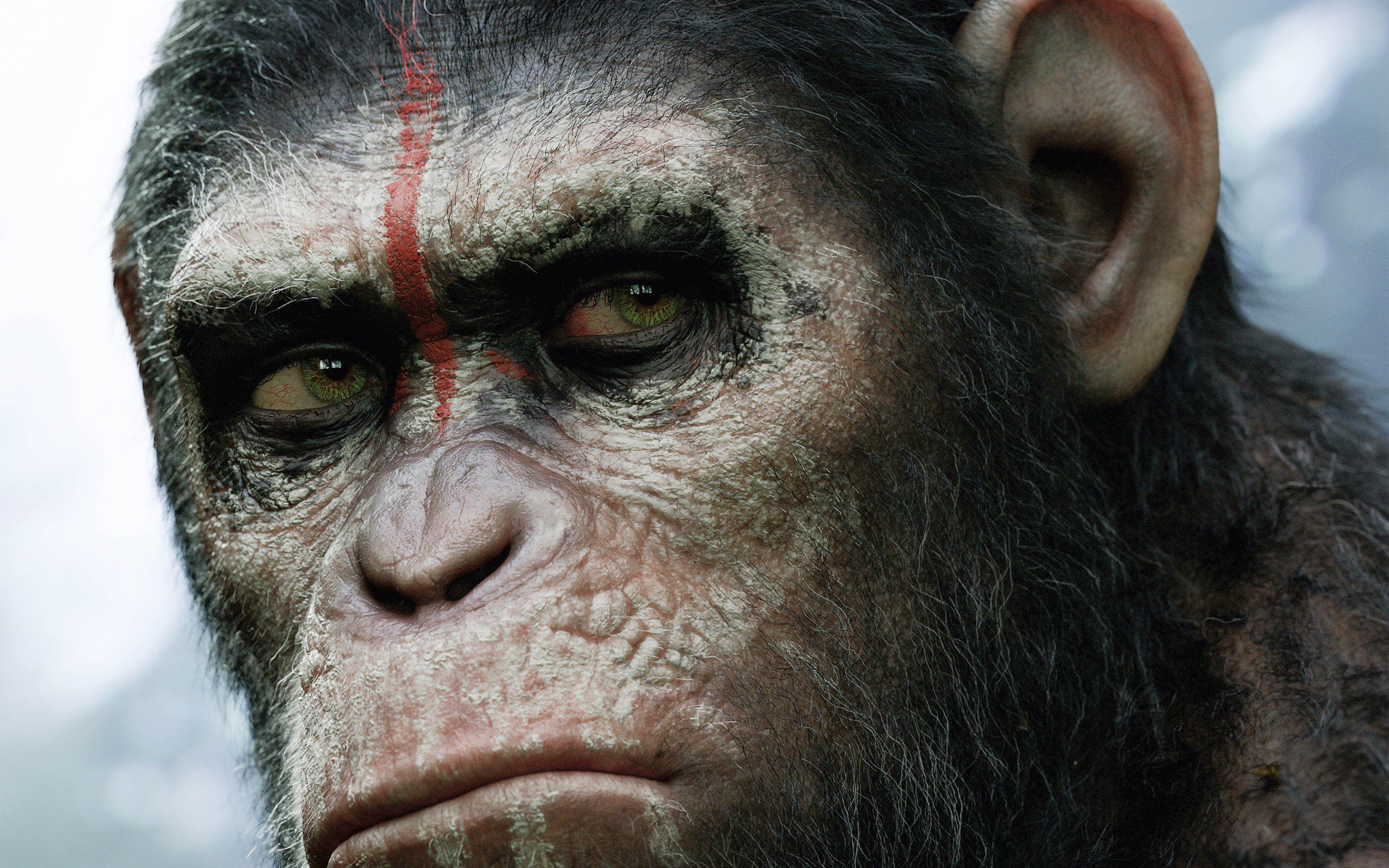 Dawn Of The Planet Of The Apes Wallpapers