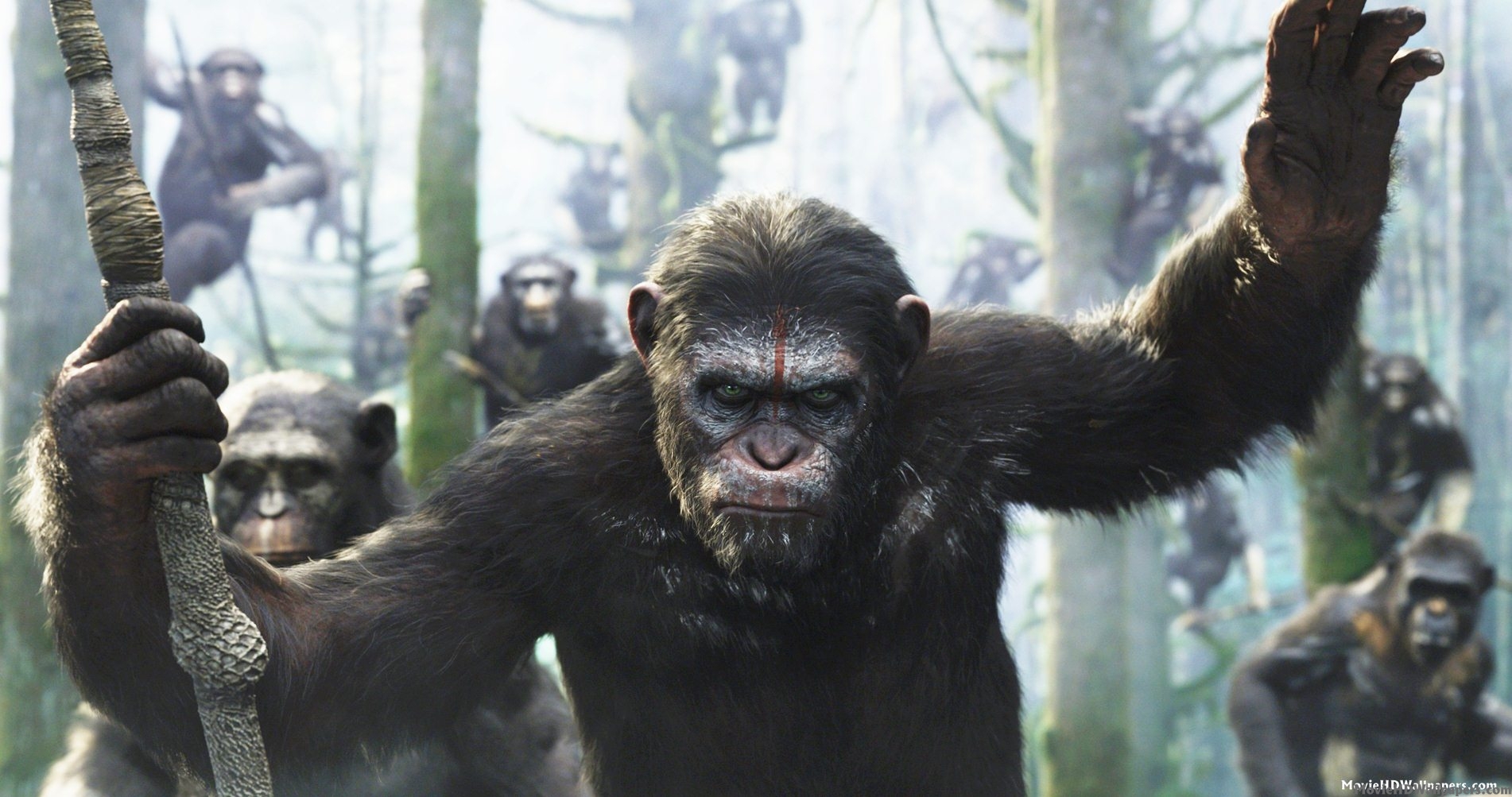 Dawn Of The Planet Of The Apes Wallpapers