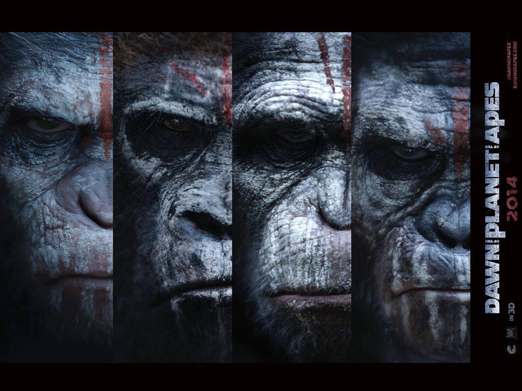 Dawn Of The Planet Of The Apes Wallpapers