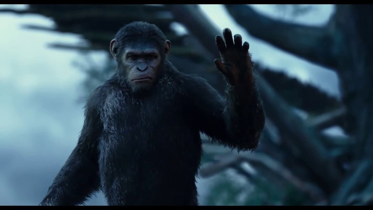 Dawn Of The Planet Of The Apes Wallpapers