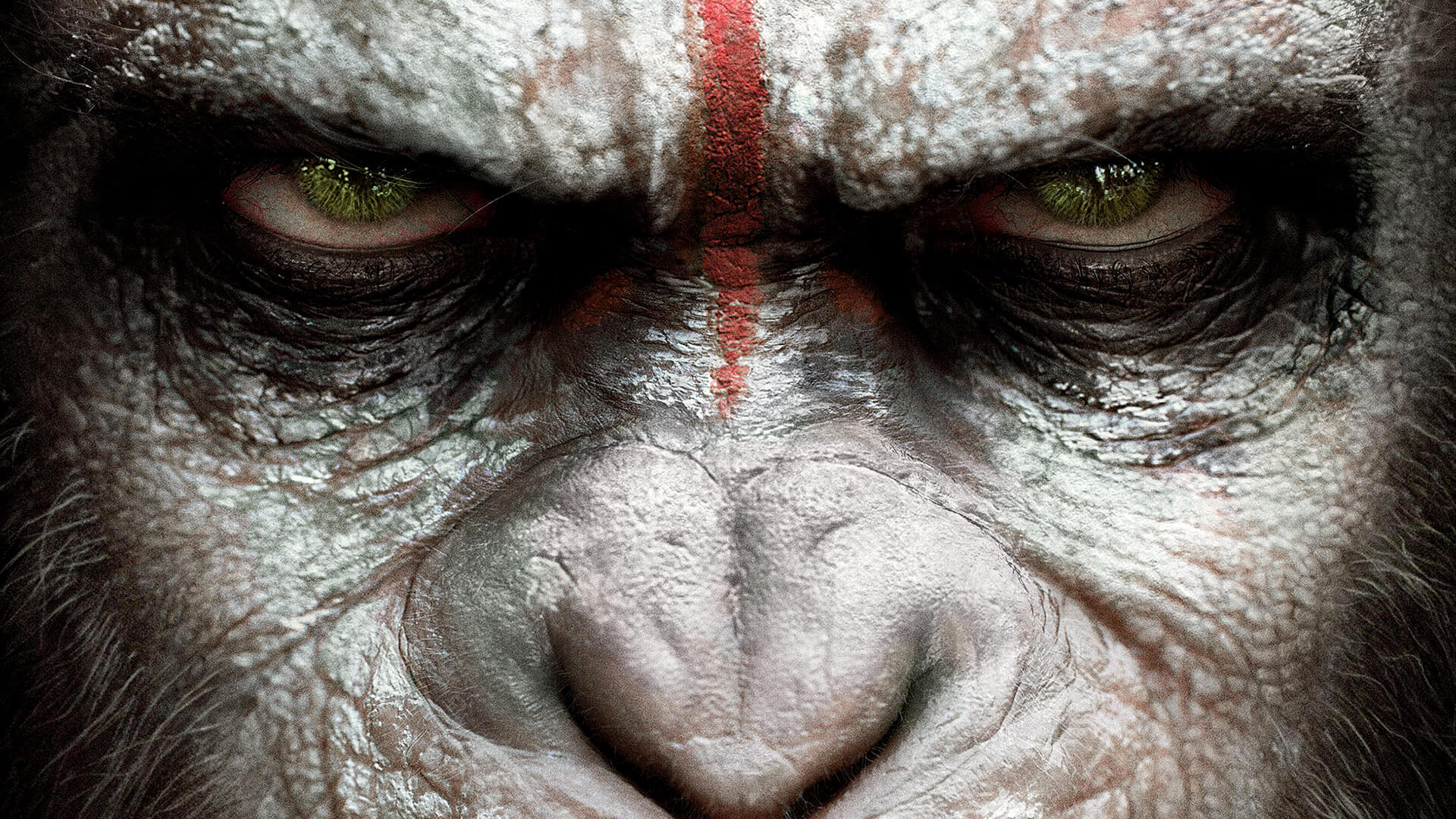 Dawn Of The Planet Of The Apes Wallpapers