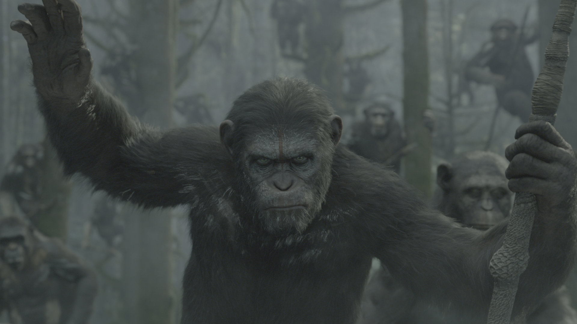 Dawn Of The Planet Of The Apes Wallpapers