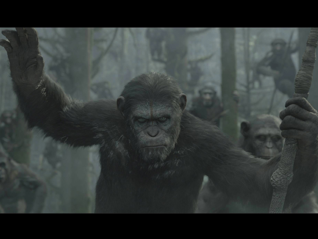 Dawn Of The Planet Of The Apes Wallpapers