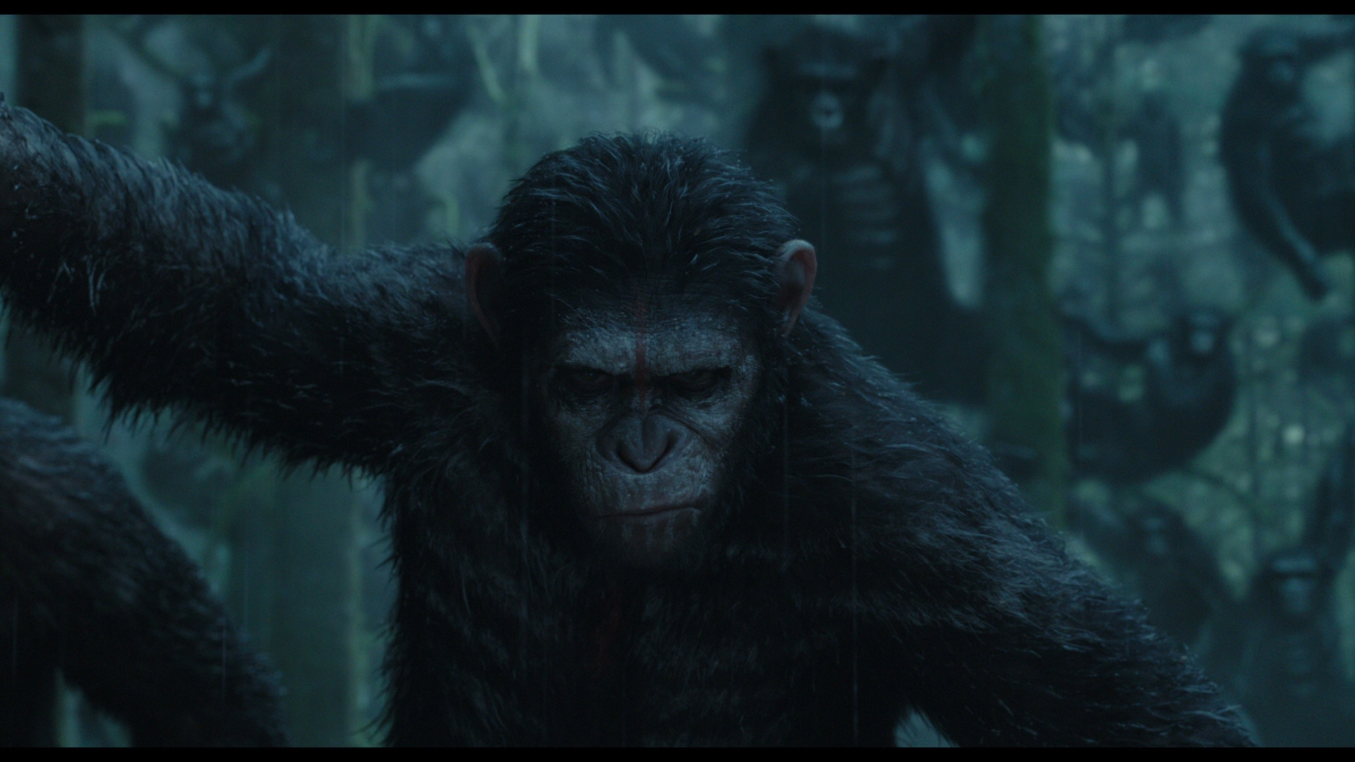 Dawn Of The Planet Of The Apes Wallpapers