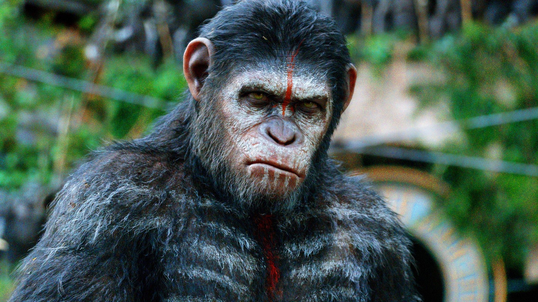 Dawn Of The Planet Of The Apes Wallpapers