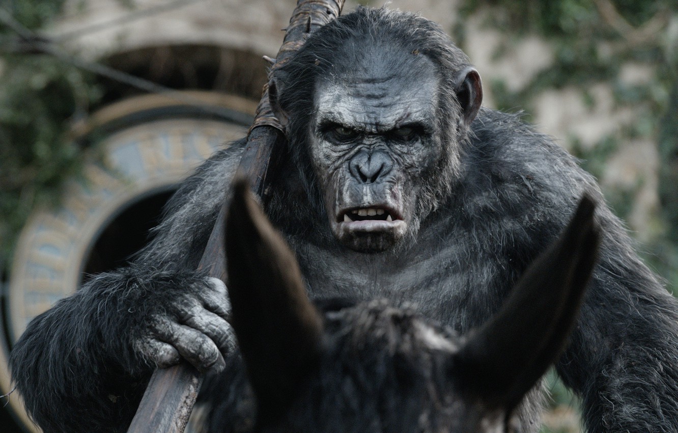 Dawn Of The Planet Of The Apes Wallpapers