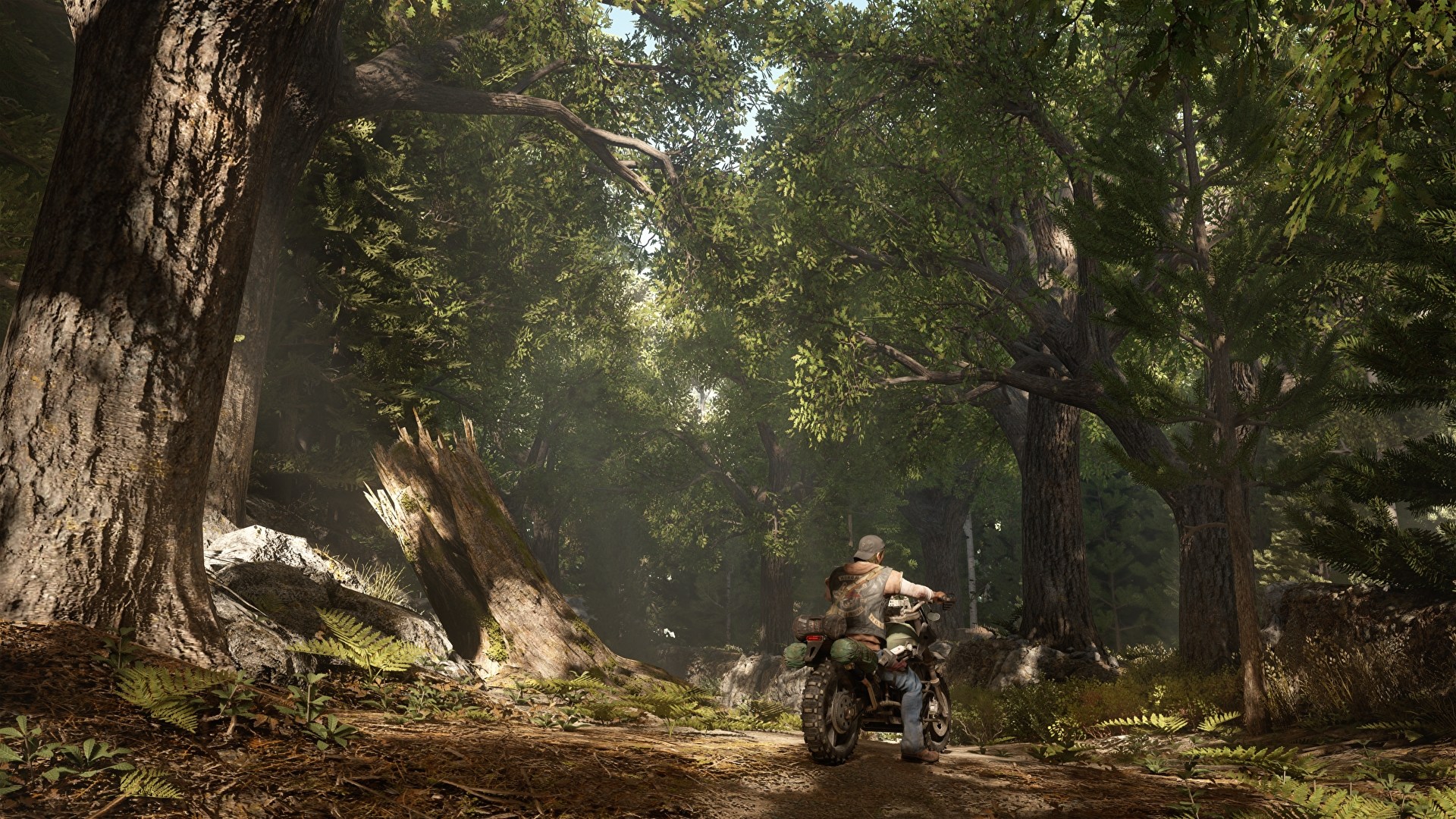 Days Gone Cool Wallpapers