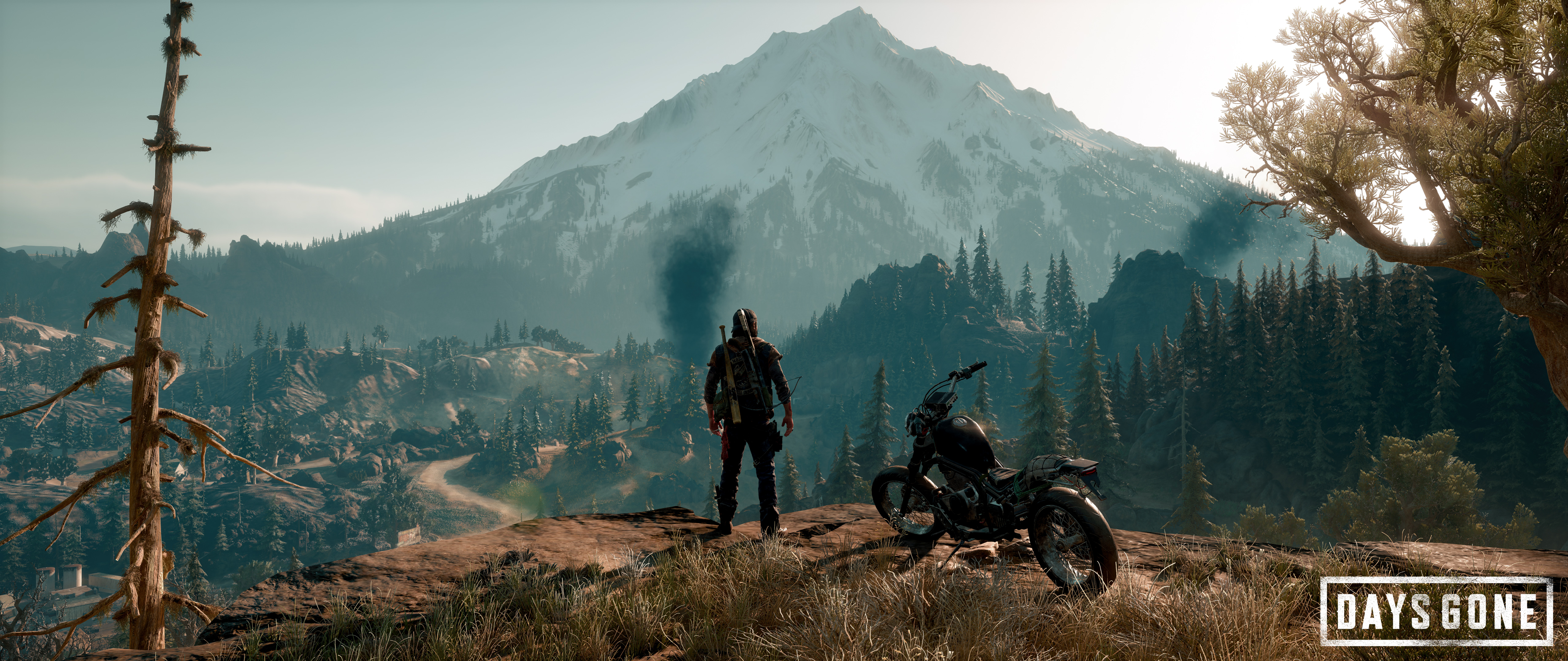 Days Gone Wallpapers