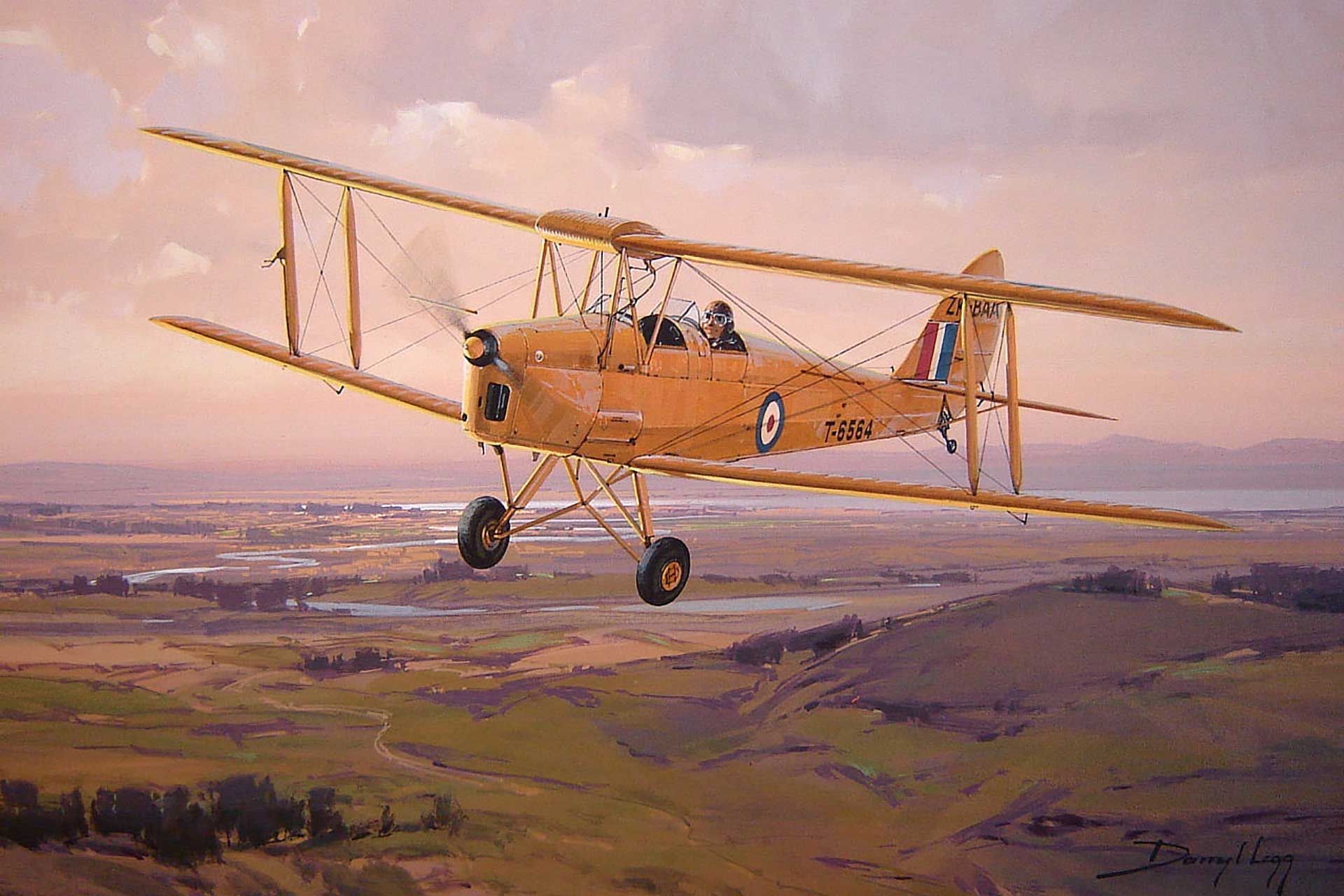 Про первые самолеты. De Havilland Tiger Moth. Самолет де Хевиленд живопись. Де Хэвилленд 82. Первый самолет.