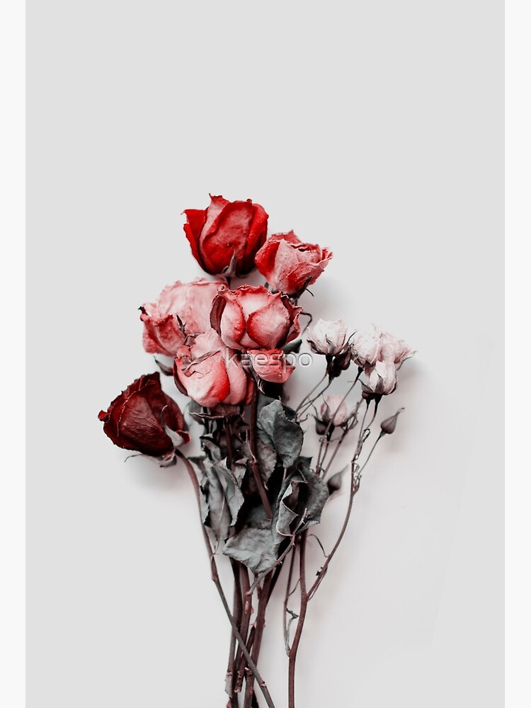 Dead Flowers Aesthetic Wallpapers