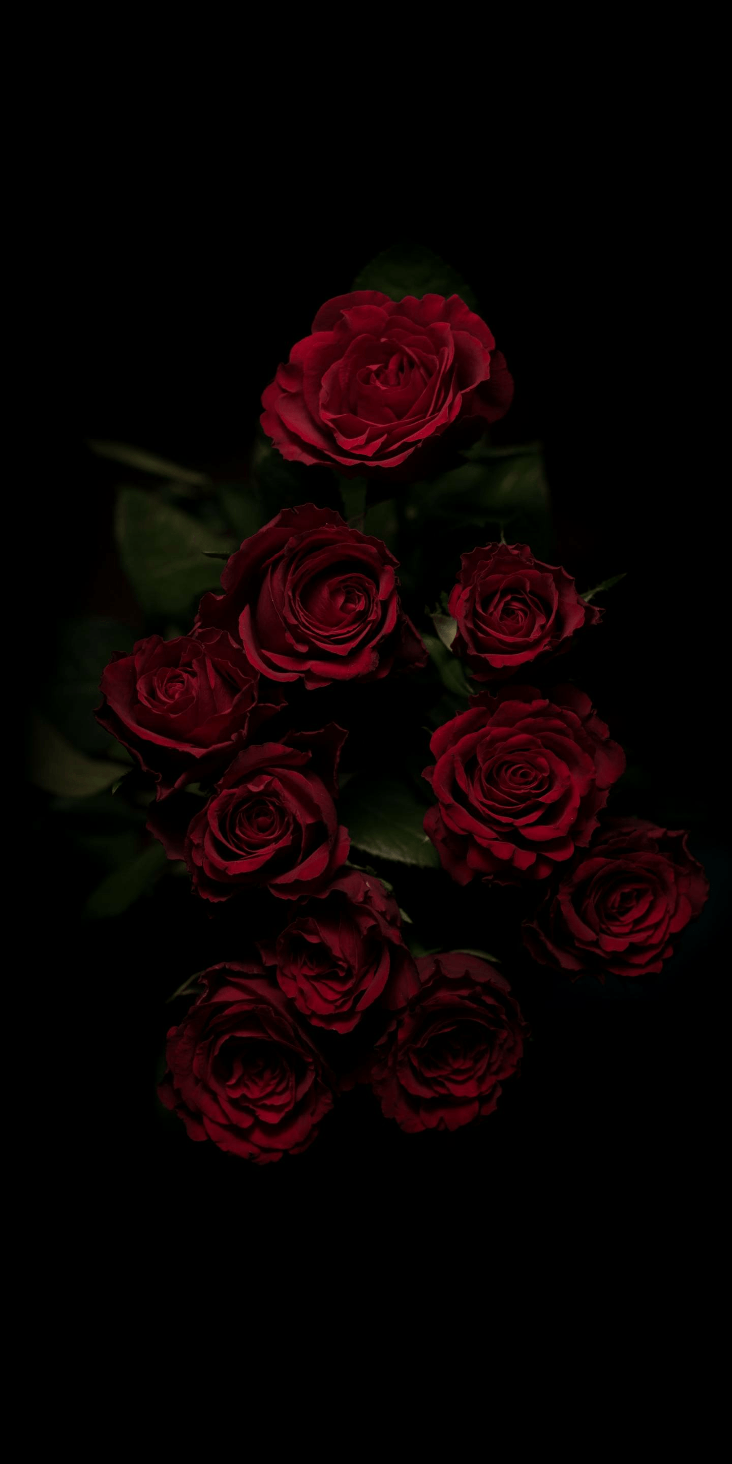 Dead Flowers Aesthetic Wallpapers