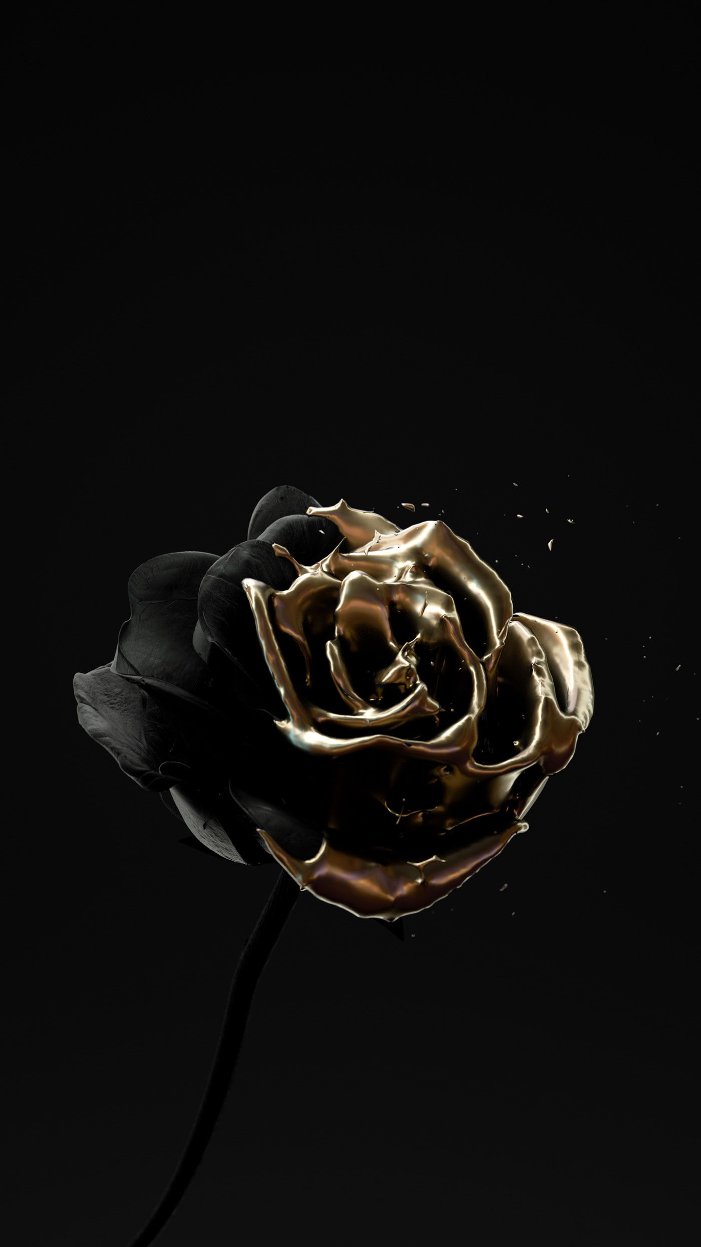 Dead Rose Aesthetic Wallpapers