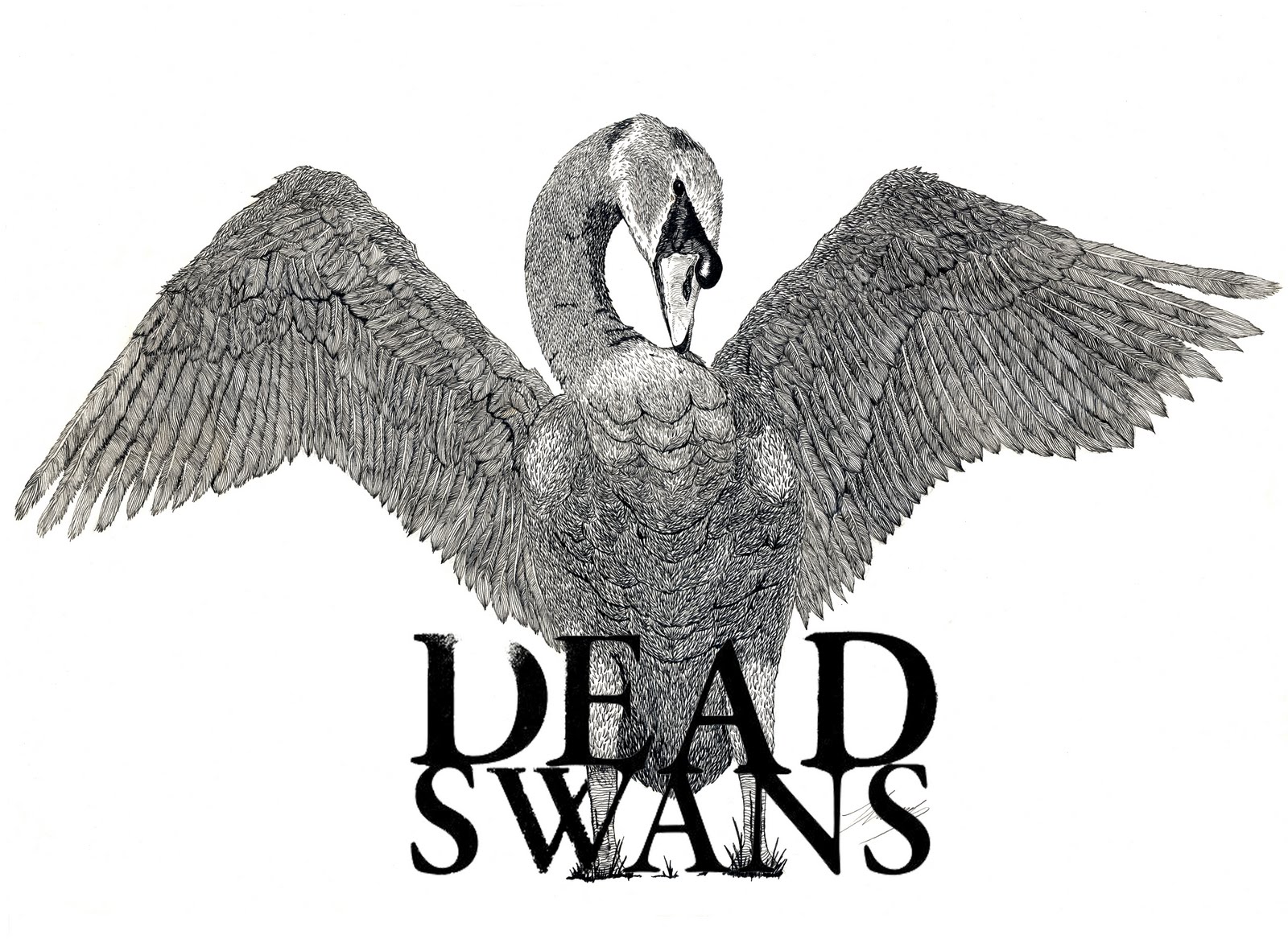 Dead Swans Wallpapers