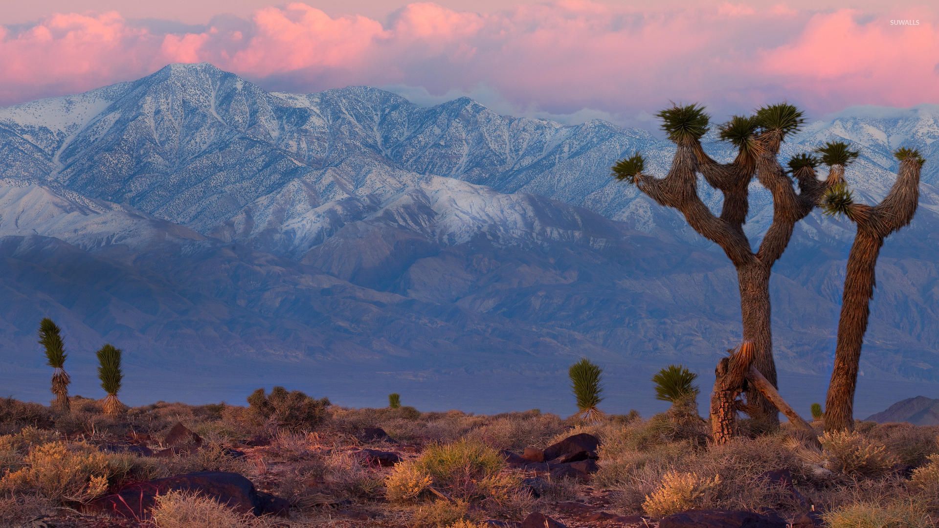 Death Valley Wallpapers