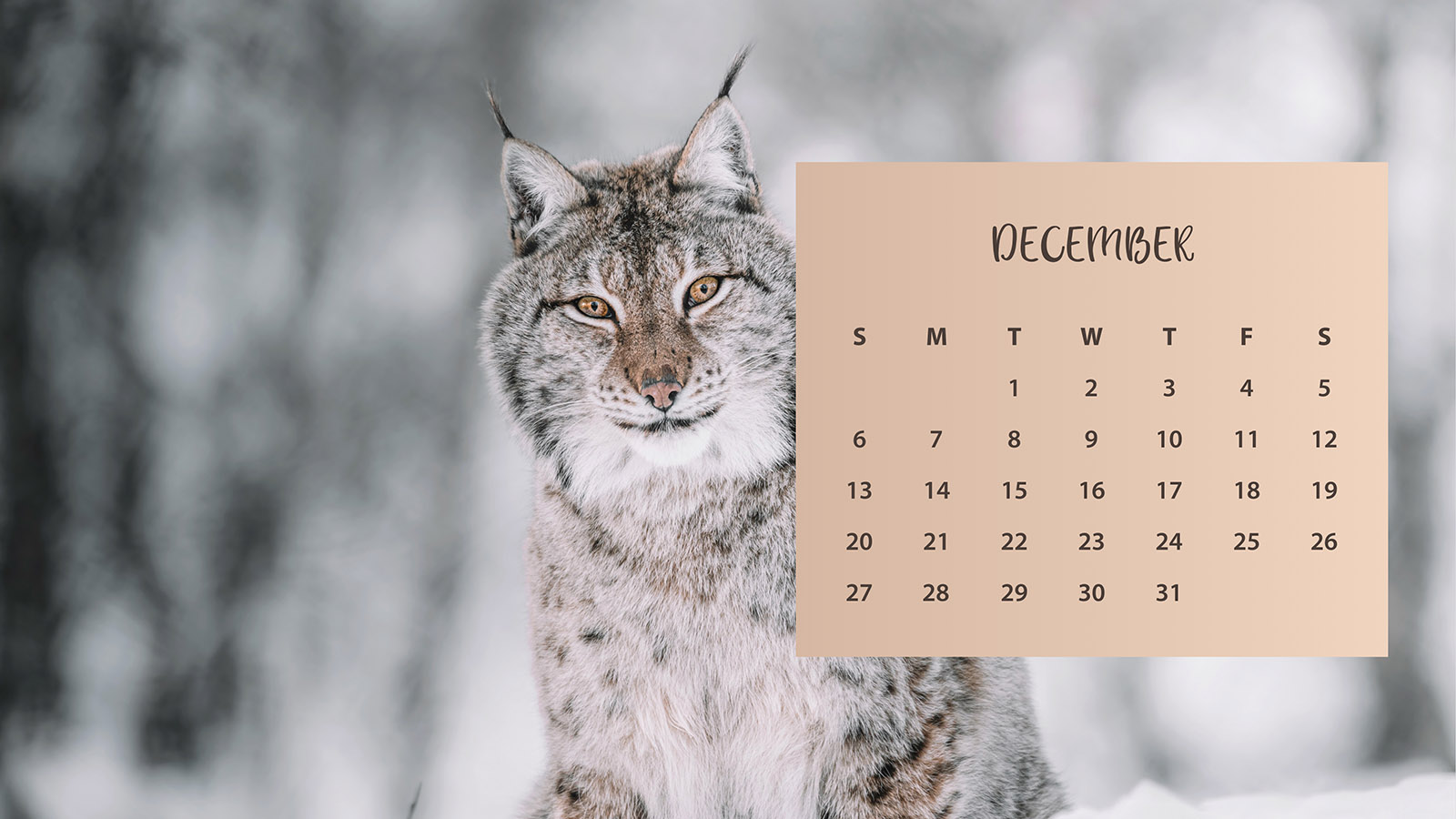 December 2020 Calendar Wallpapers