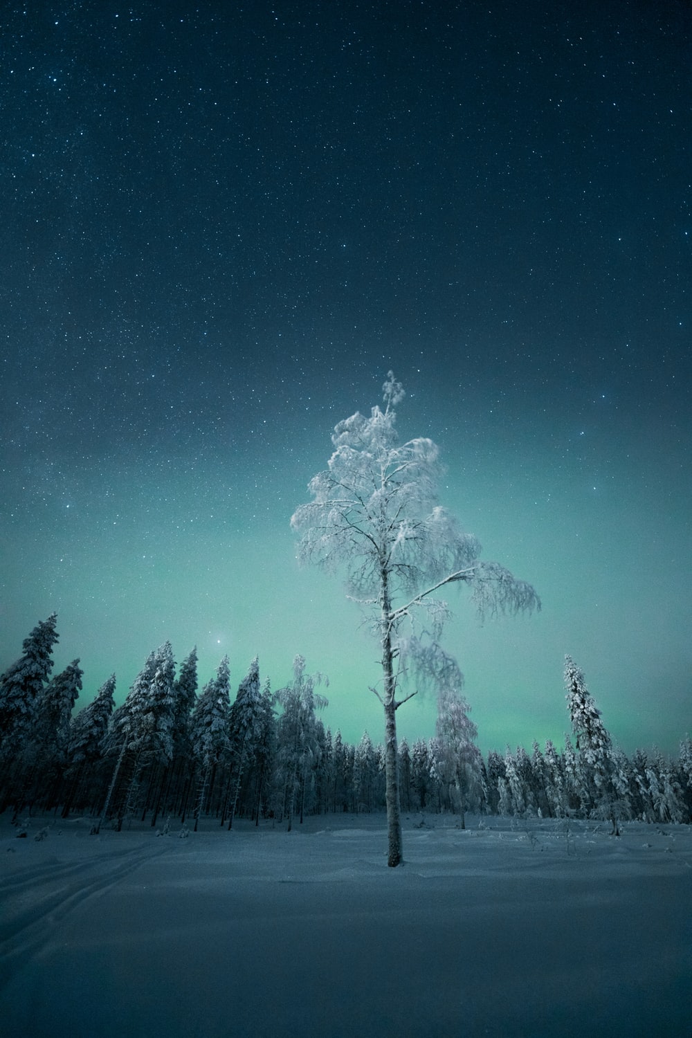 December Night Wallpapers