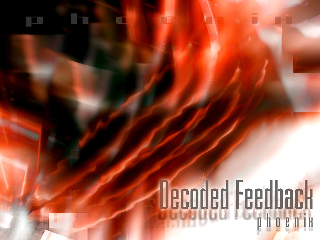 Decoded Feedback Wallpapers