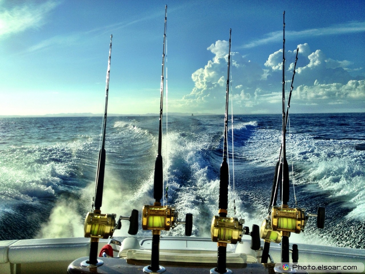 Deep Sea Fishing Wallpapers