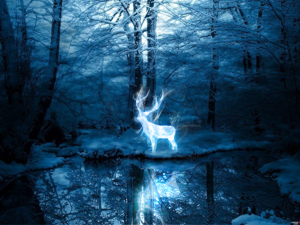 Deer Always Harry Potter Wallpapers