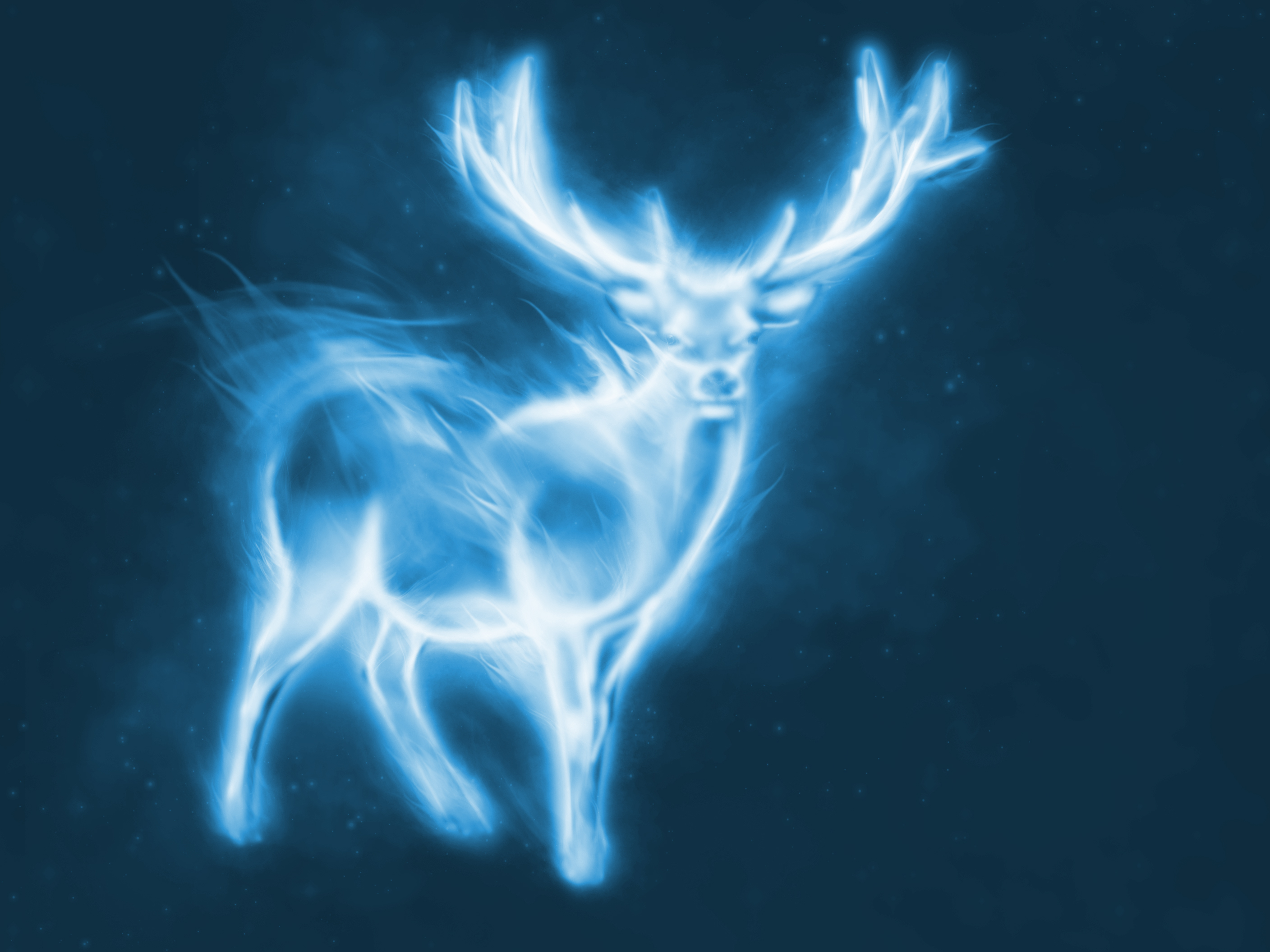 Deer Always Harry Potter Wallpapers