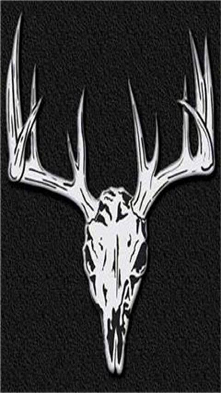 Deer Antler Wallpapers