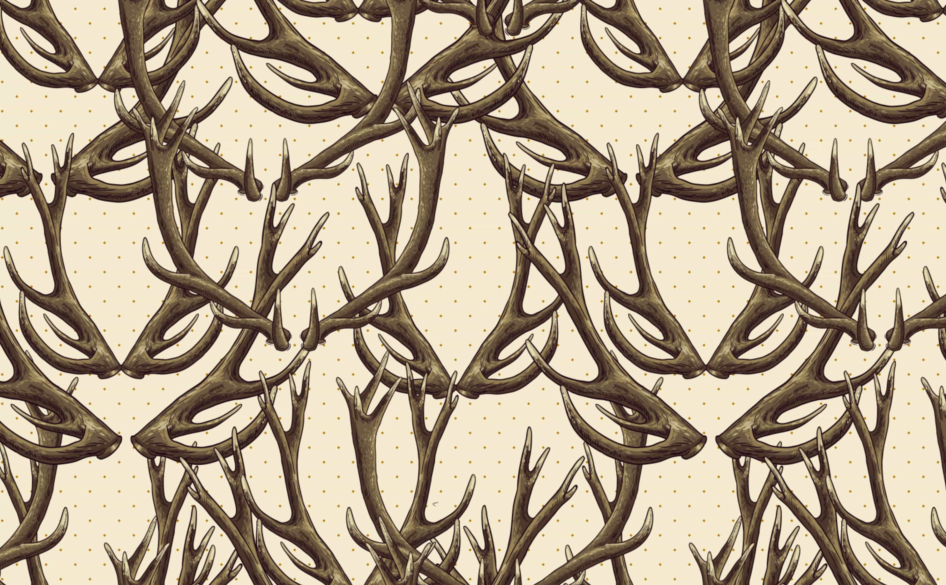 Deer Antler Wallpapers