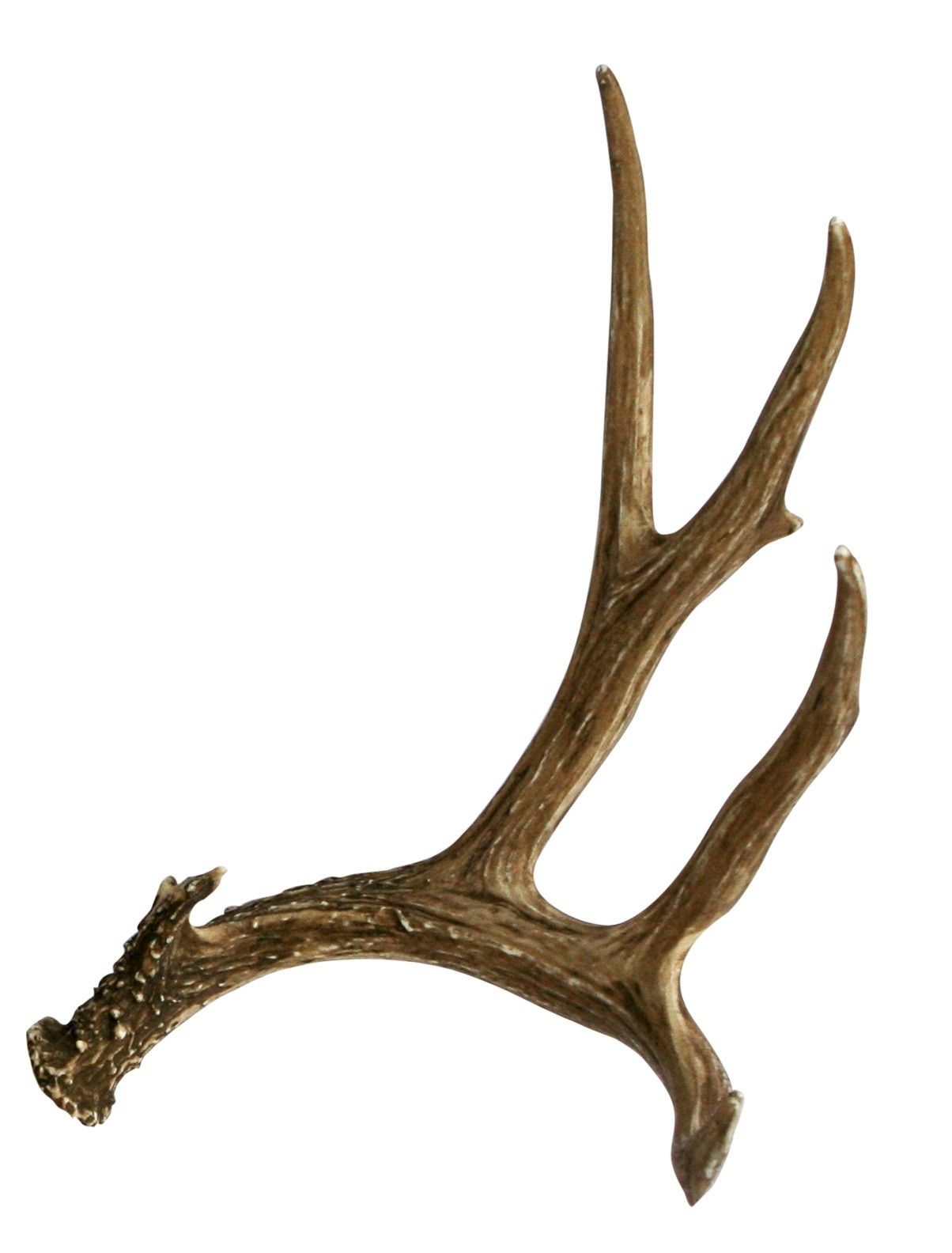 Deer Antler Wallpapers