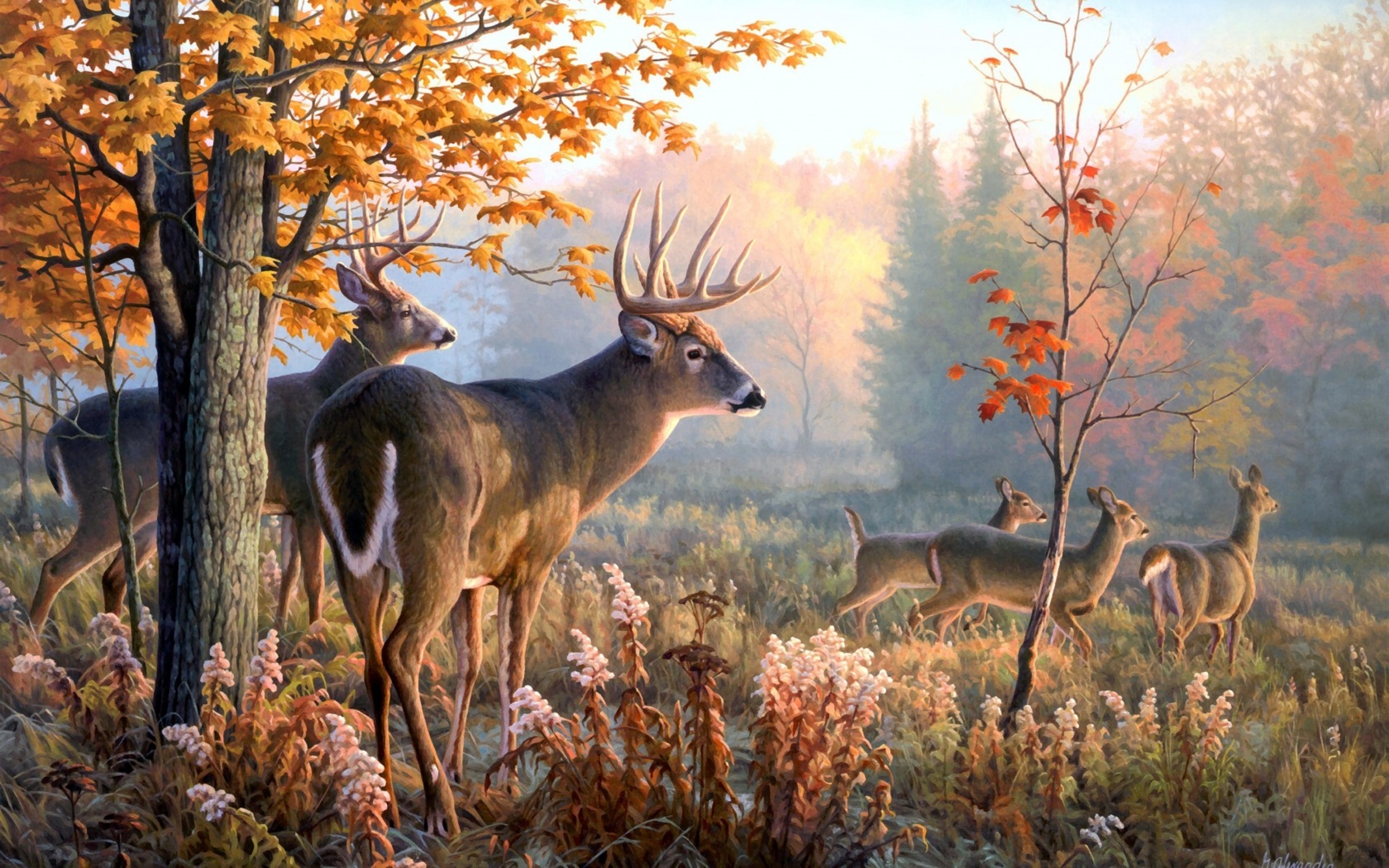 Deer Art Wallpapers