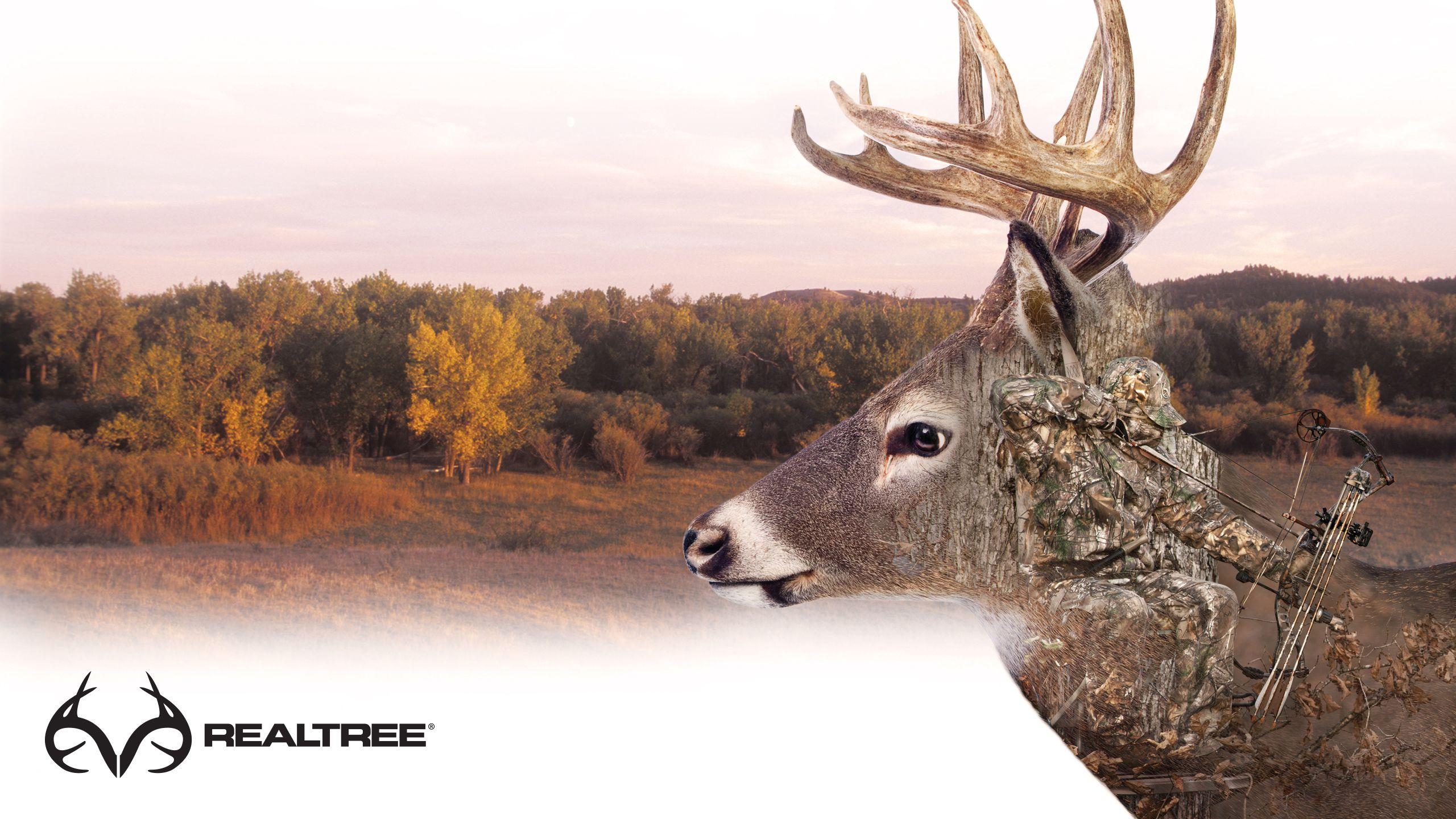 Deer Hunting Wallpapers